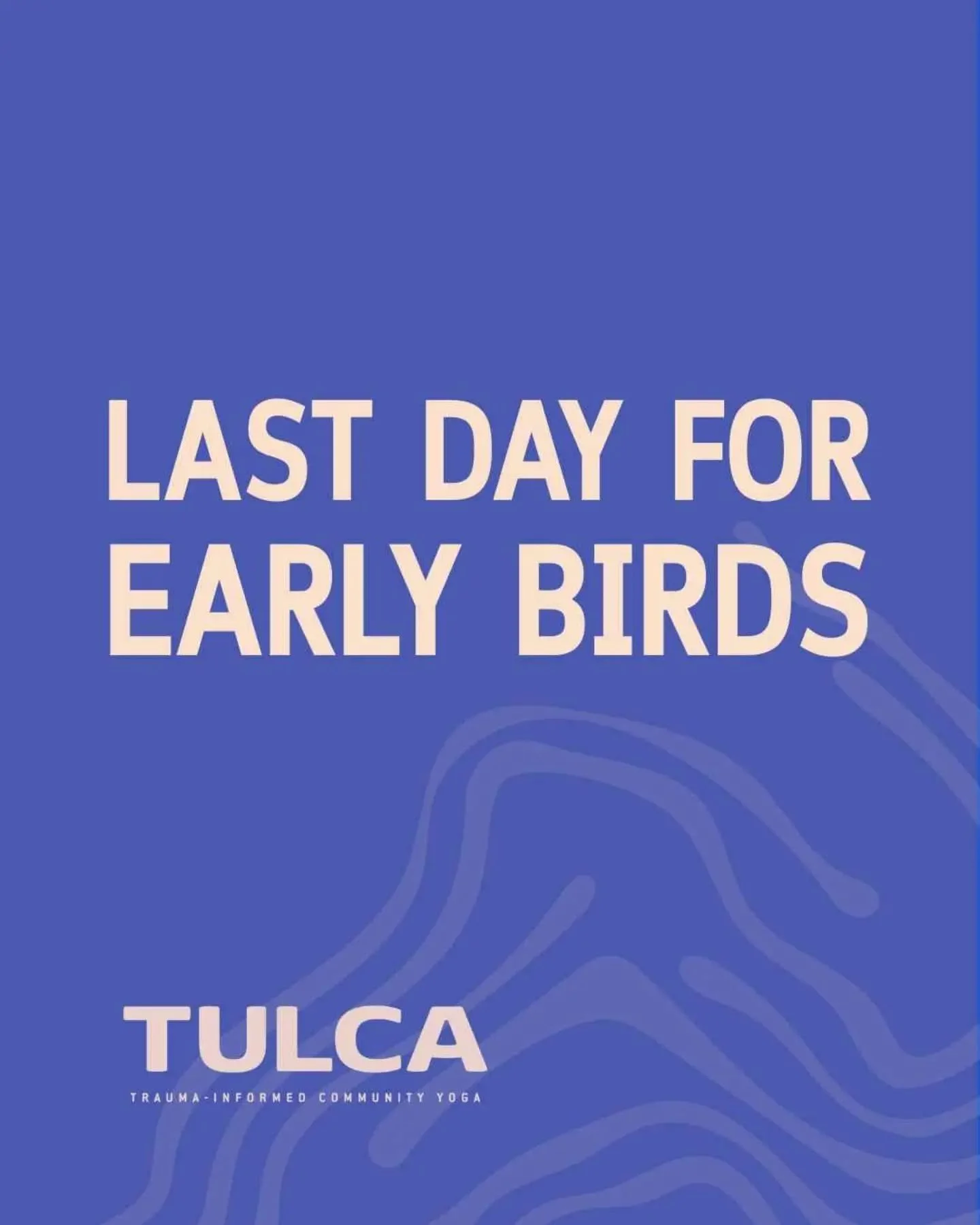 🌊 Early Bird Pricing and Bursary Applications🌊

Admin post incoming!

It's been so lovely to have sign ups coming in over the past weeks. The people who have joined so far are absoluy fab and we can't wait to meet the group in full. We're now over 