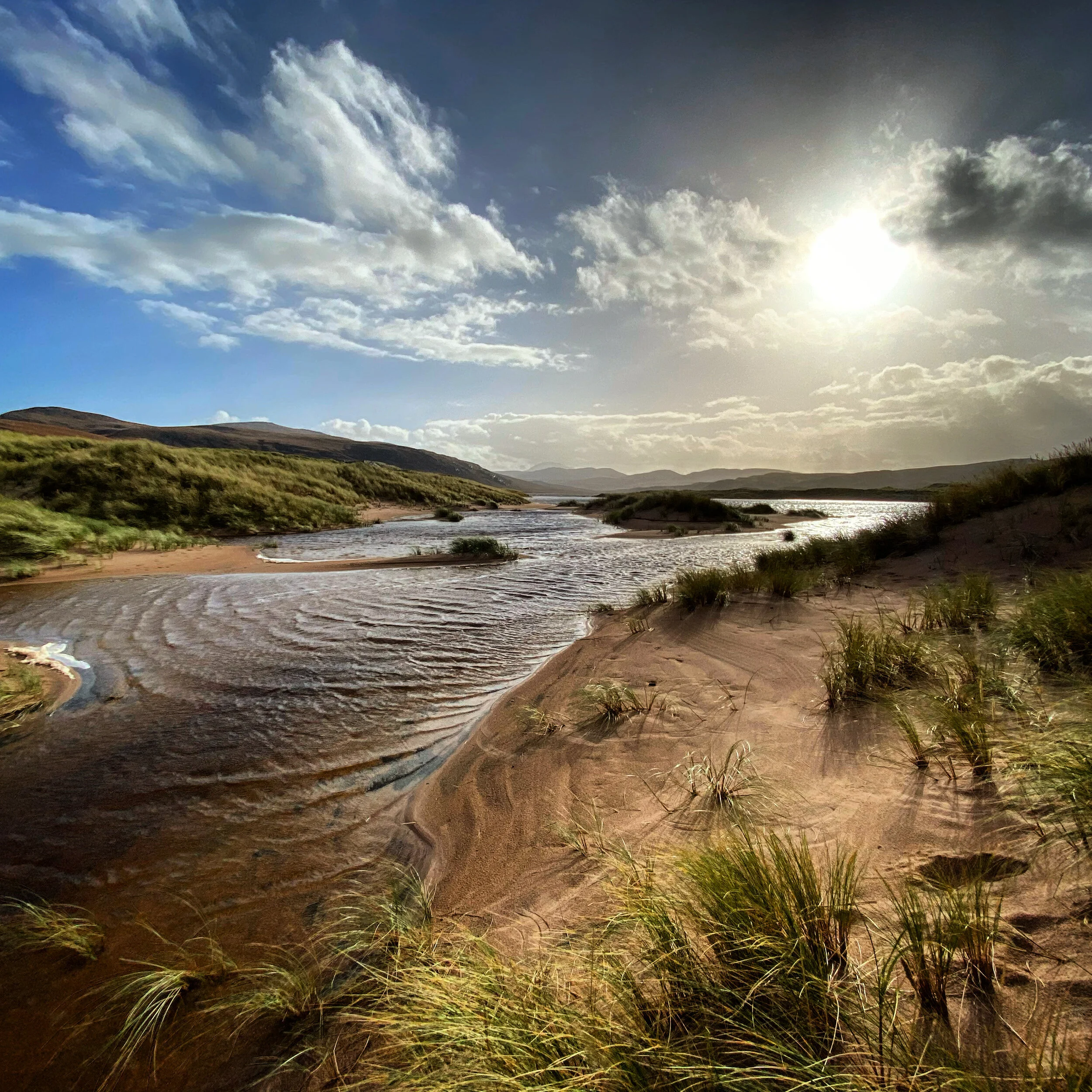 9ECB3366-4365-492F-BFE0-1E3BB9BEDE4D 2.JPG