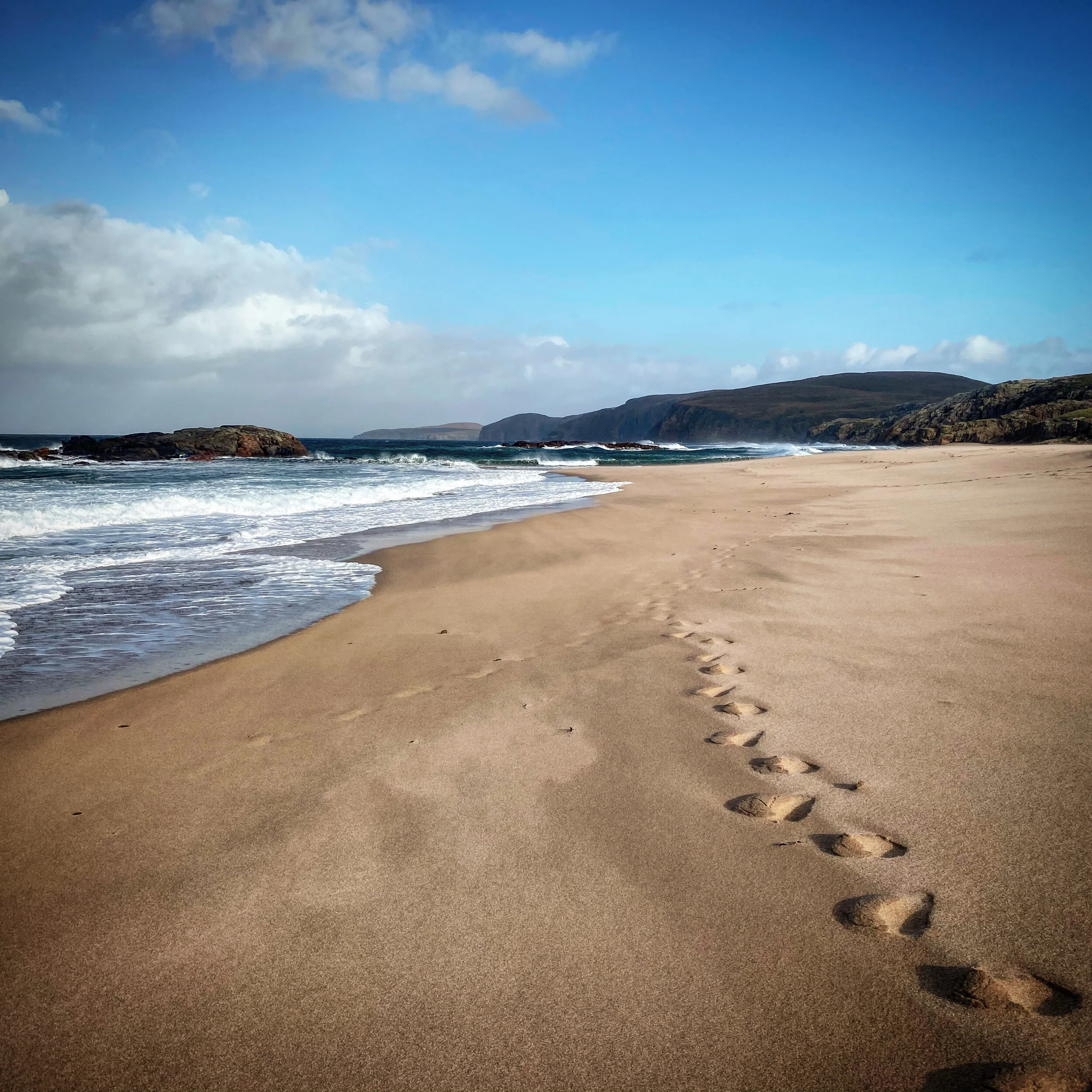 FD5059A1-D81C-478E-809E-5C5126FA1607 2.JPG