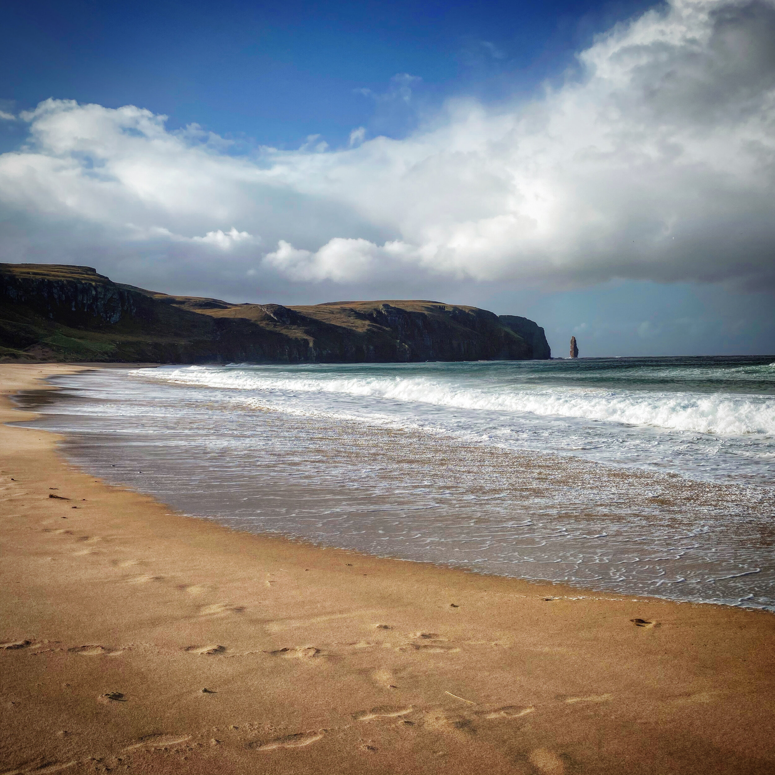 BEA04C5E-D2A1-425F-B8BA-0A97F965B1EB 2.JPG