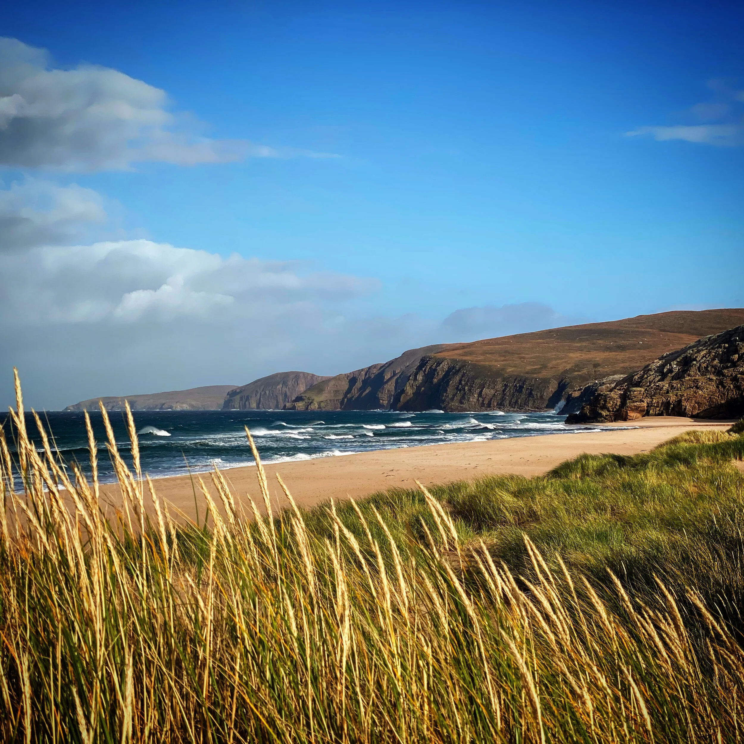 E942C23C-3933-4FE2-A430-61656FF424C3 2.JPG