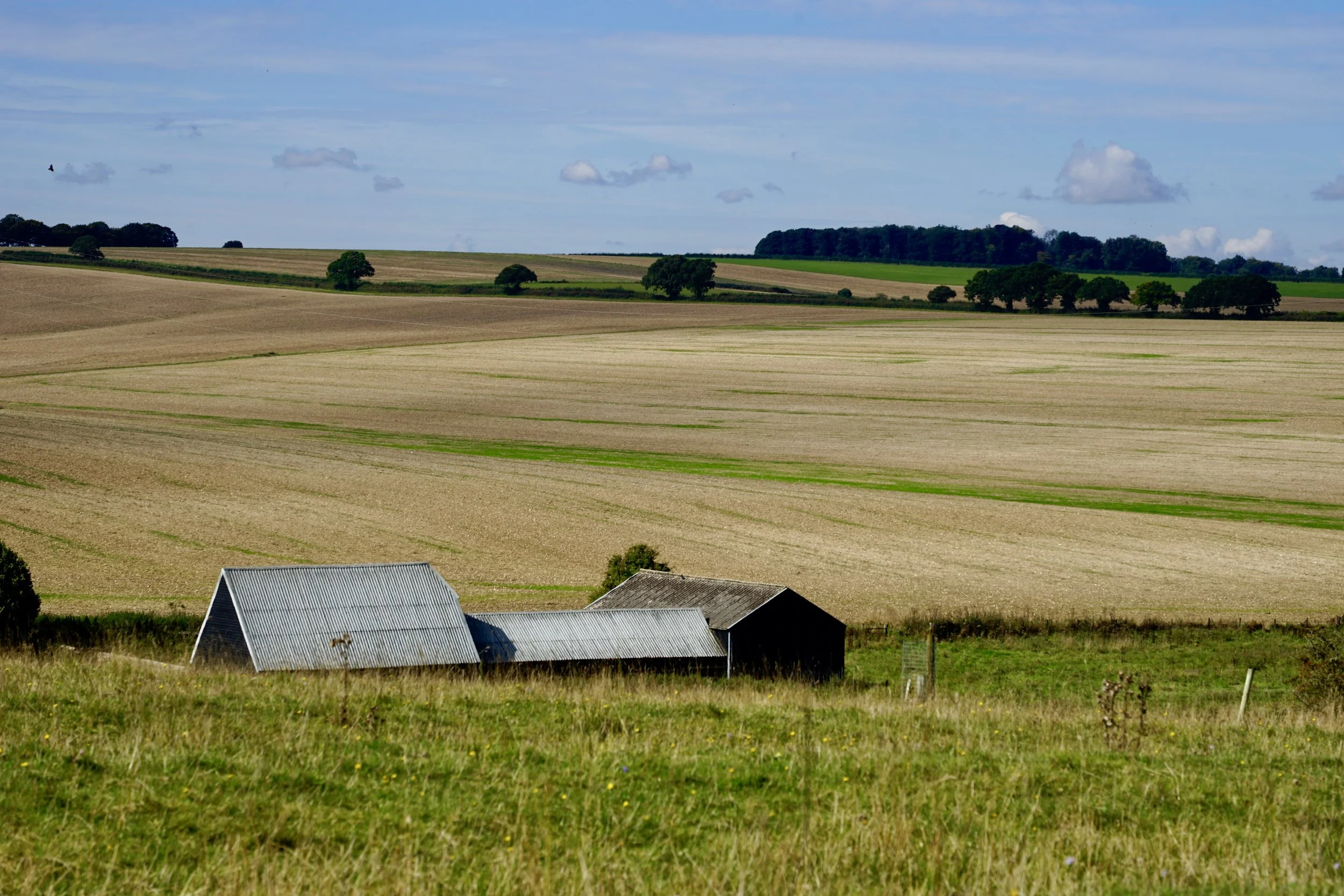 _DSC9216.jpg