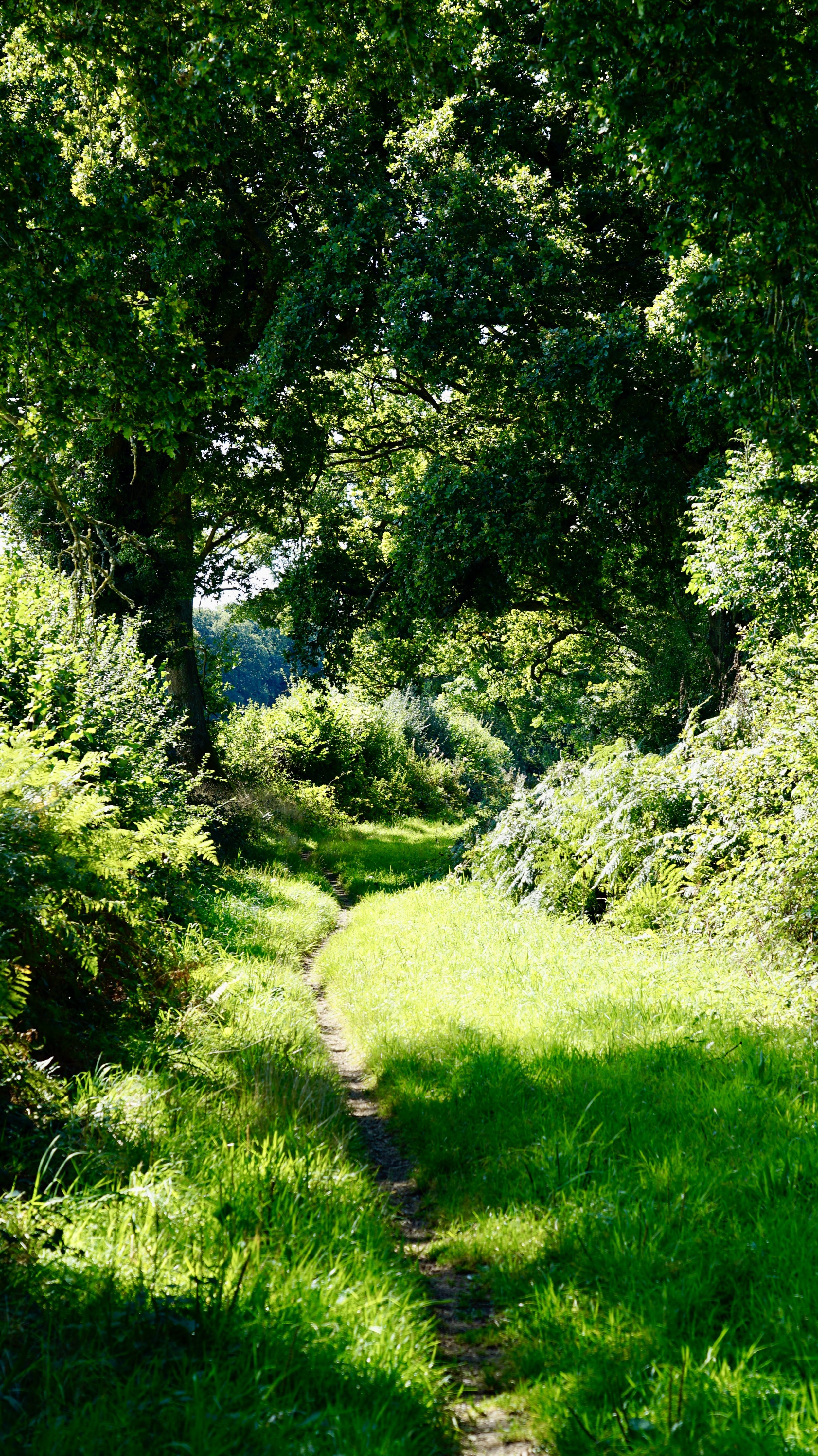 _DSC9218.jpg