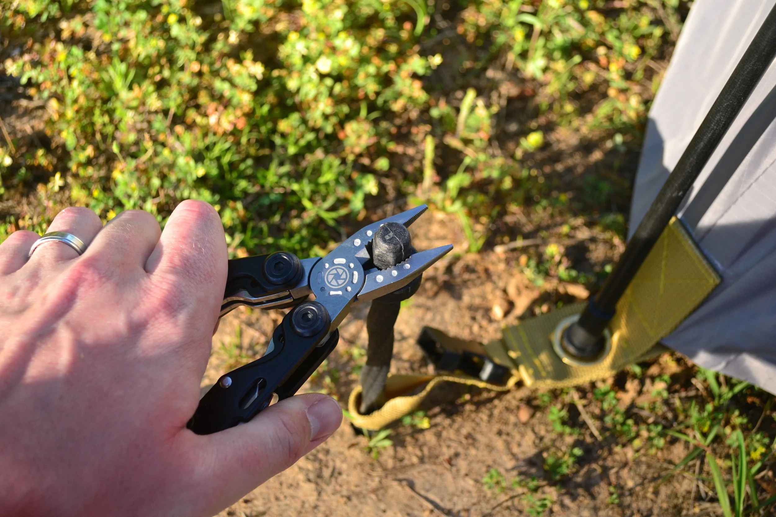 Catoma_SpeeDome_Eagle_0165.JPG