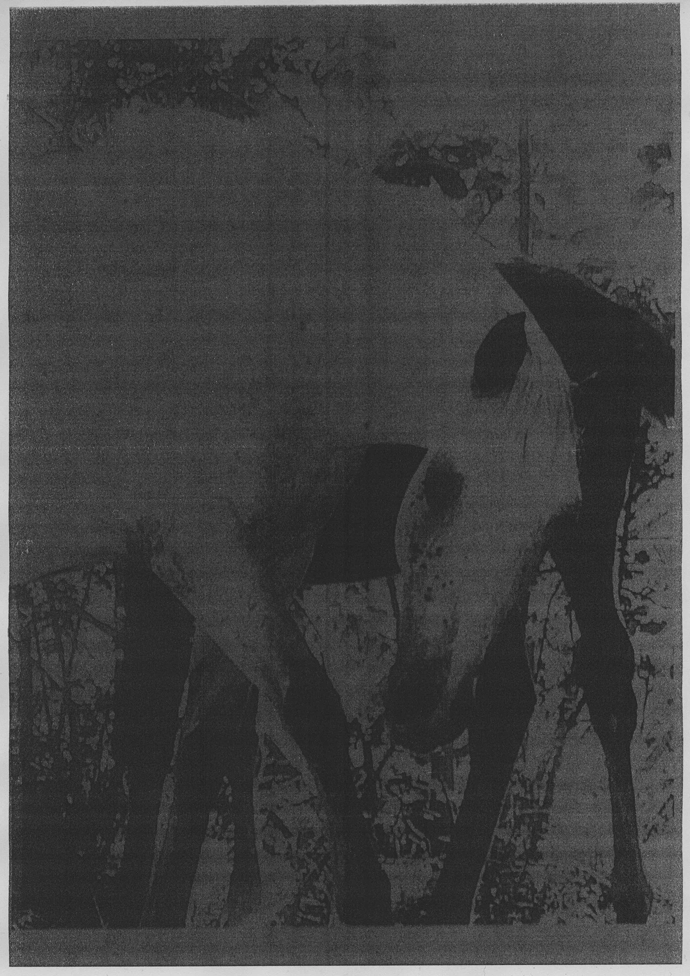 Federico Gargaglione Book Of Haikus Nowhere Diary