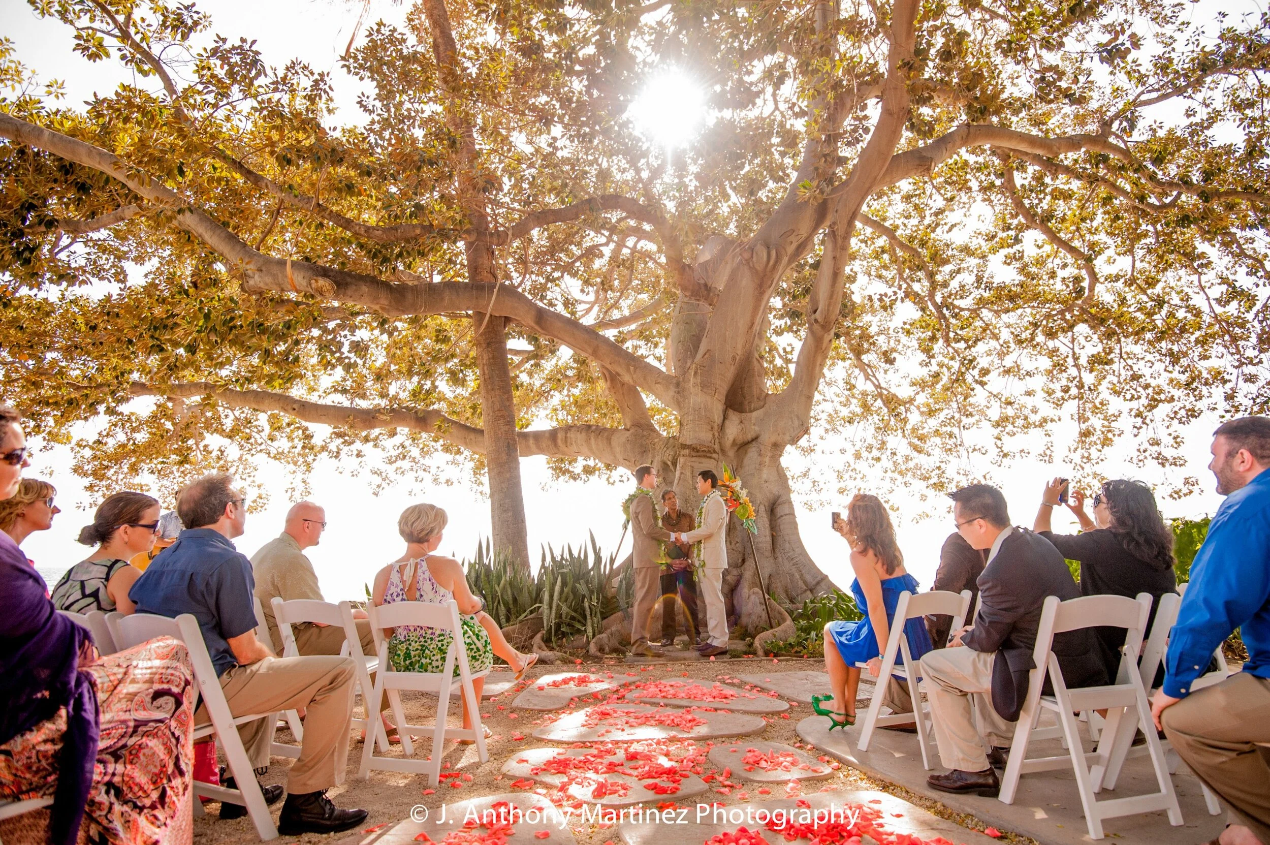 Maui Same Sex Wedding