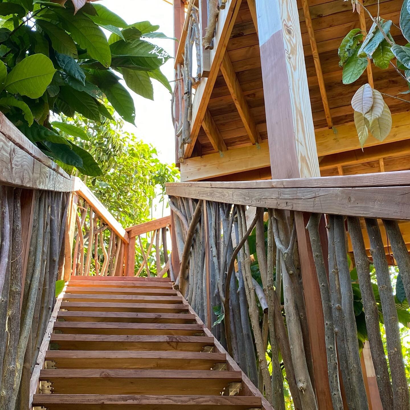 Let&rsquo;s Elope! 🍃 Maui style