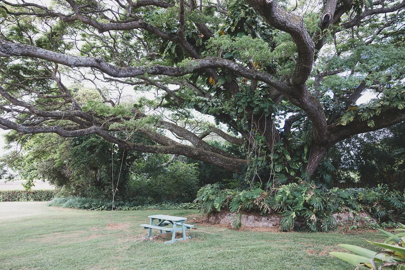 2025.05.31 Nichole & Jeremy Wedding _ KT Photography-13.jpg