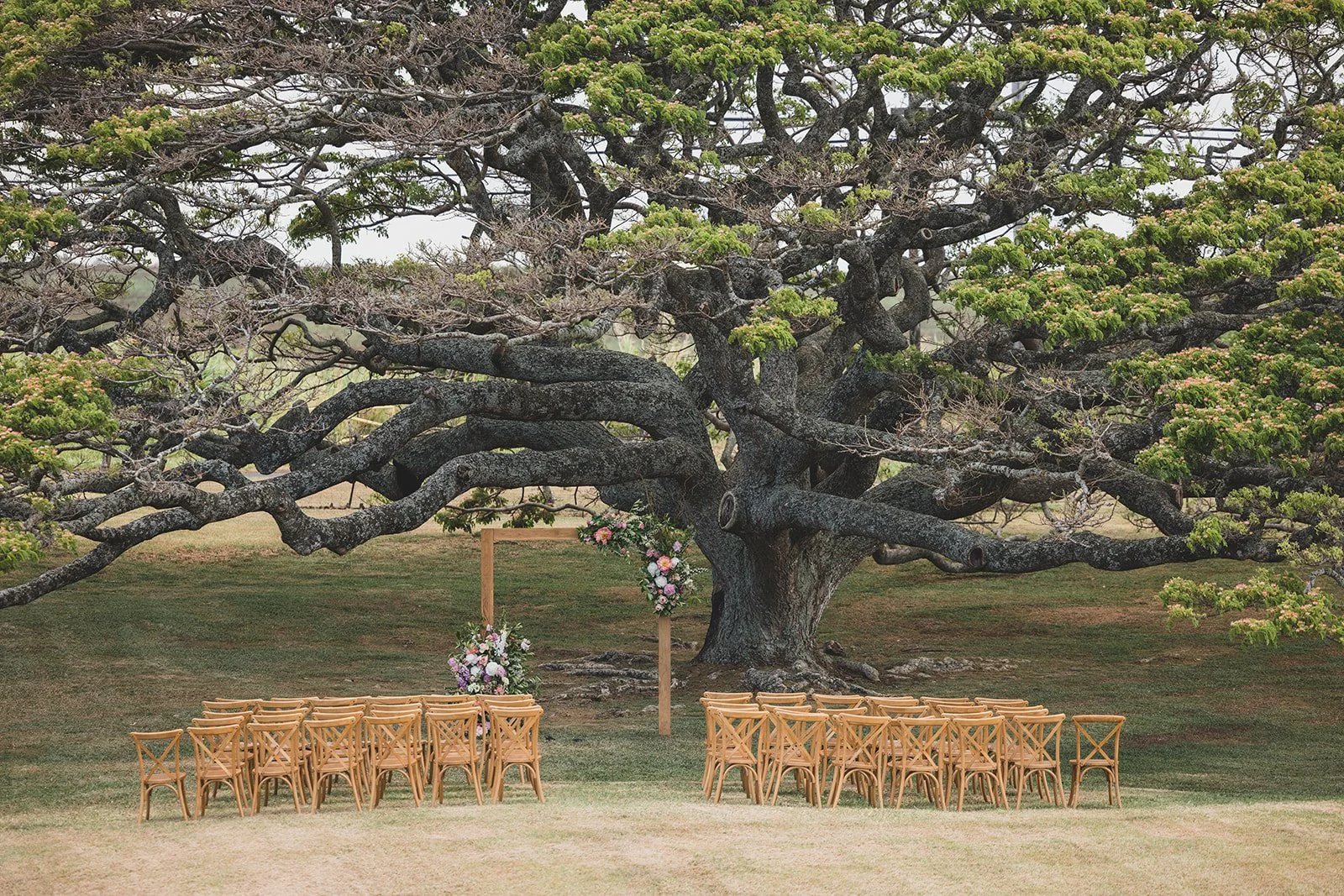 2025.05.31 Nichole & Jeremy Wedding _ KT Photography-106.jpg