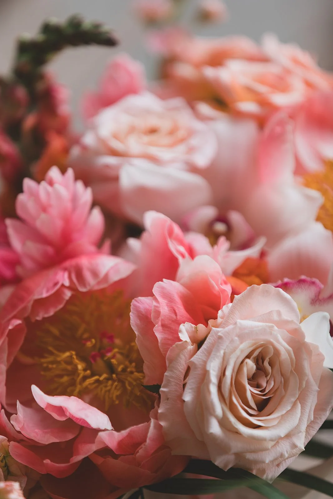 2026.05.15 Sydney & Geordie _ Kristy Taylor Photography-4.jpg