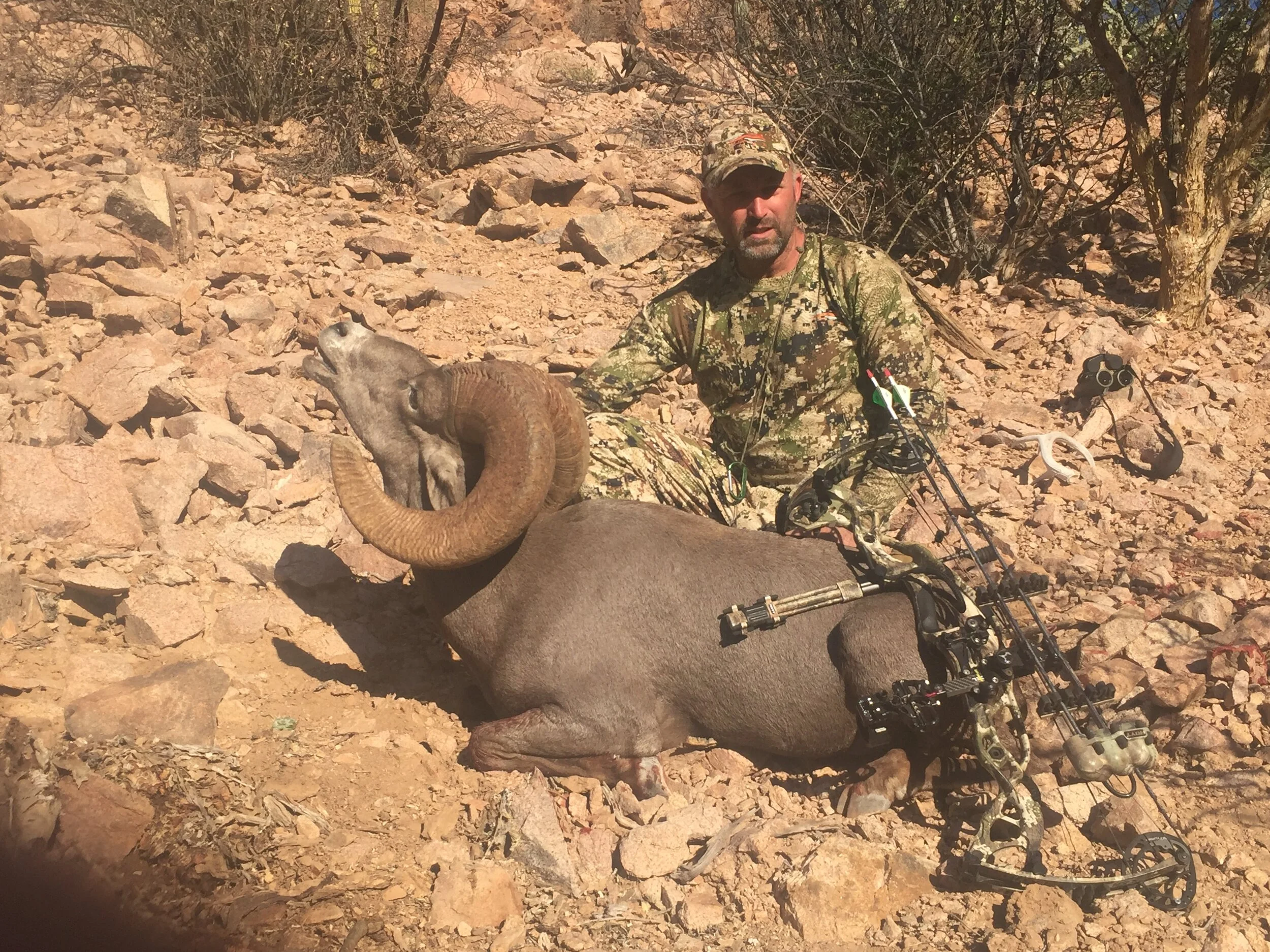 171 POPE AND YOUNG TOP 10