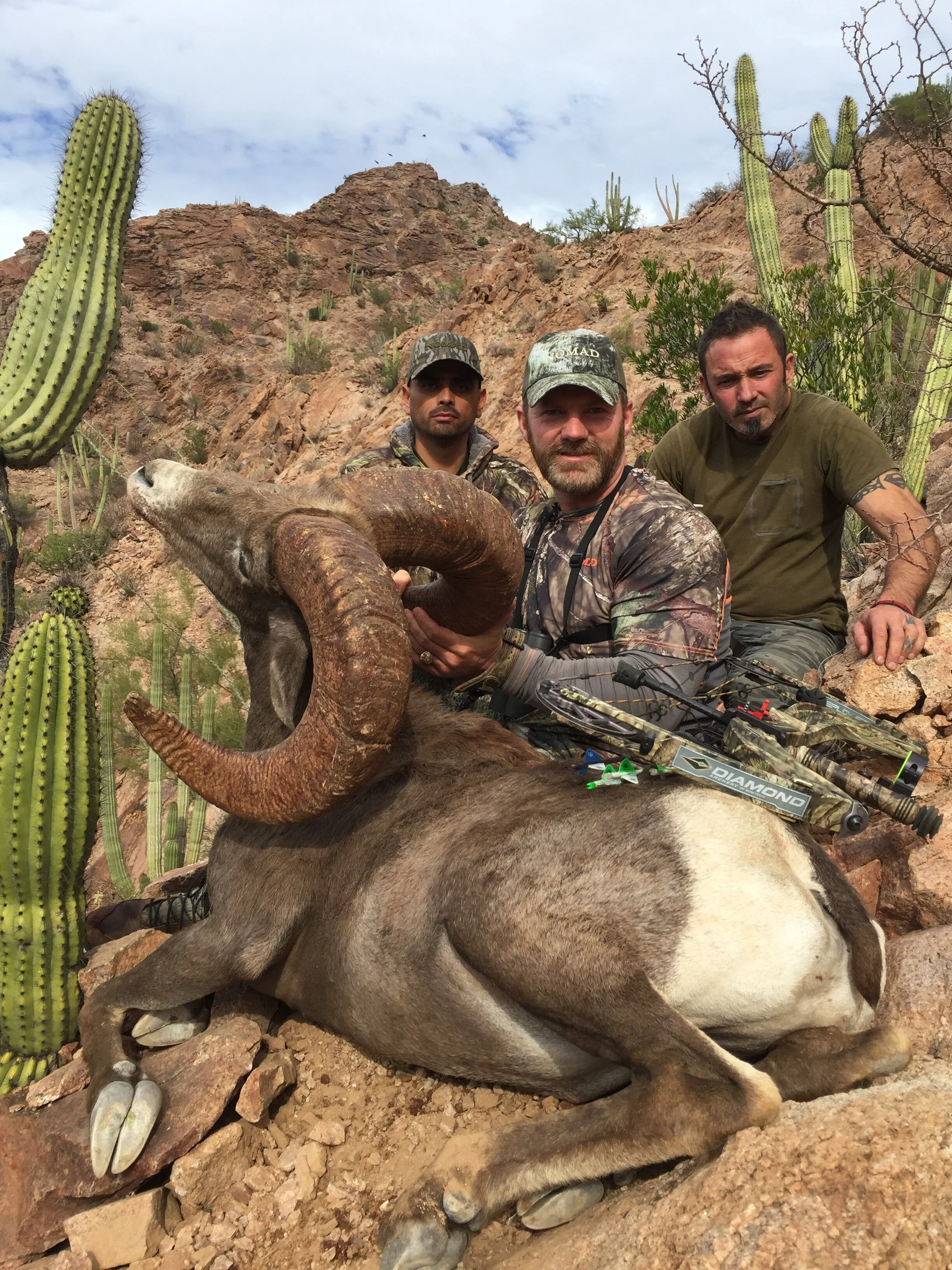 BRIAN STEPHENS RAM AS SEEN ON "LIVE 2 HUNT WITH CODY ROBINS"