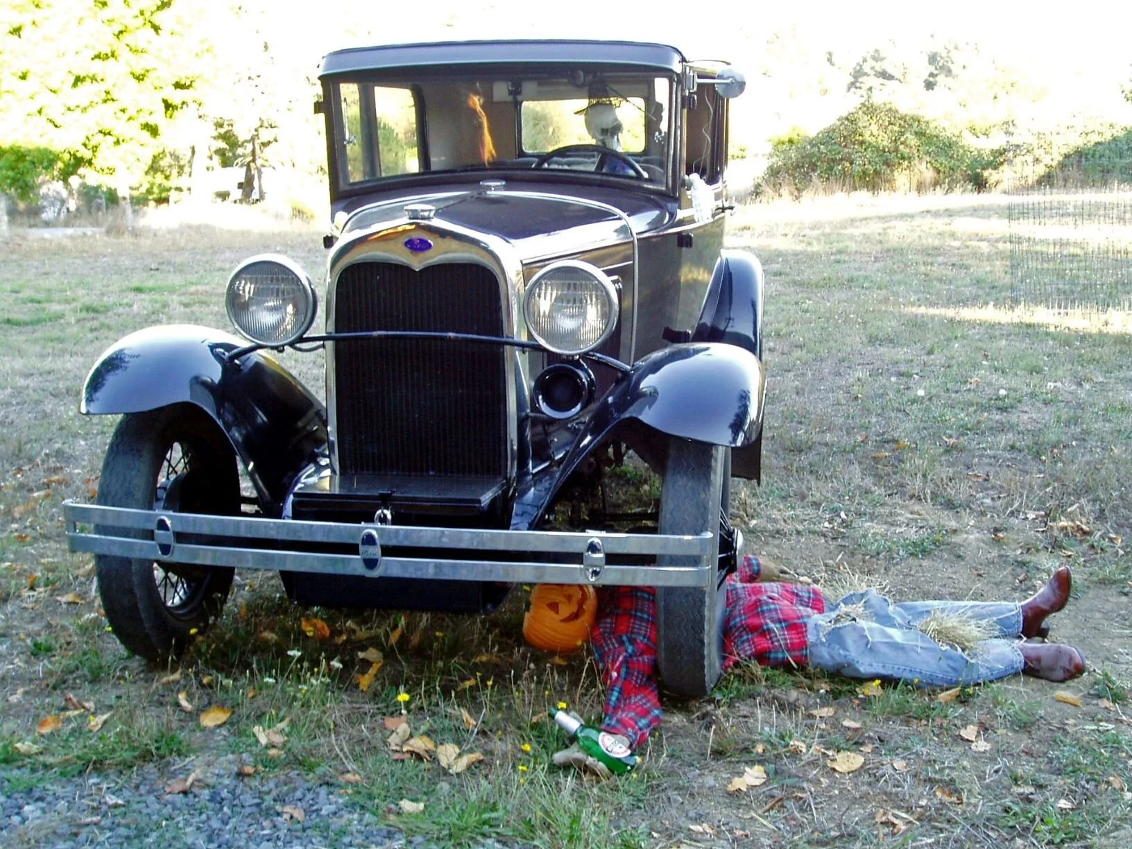 Skeletons should not drive