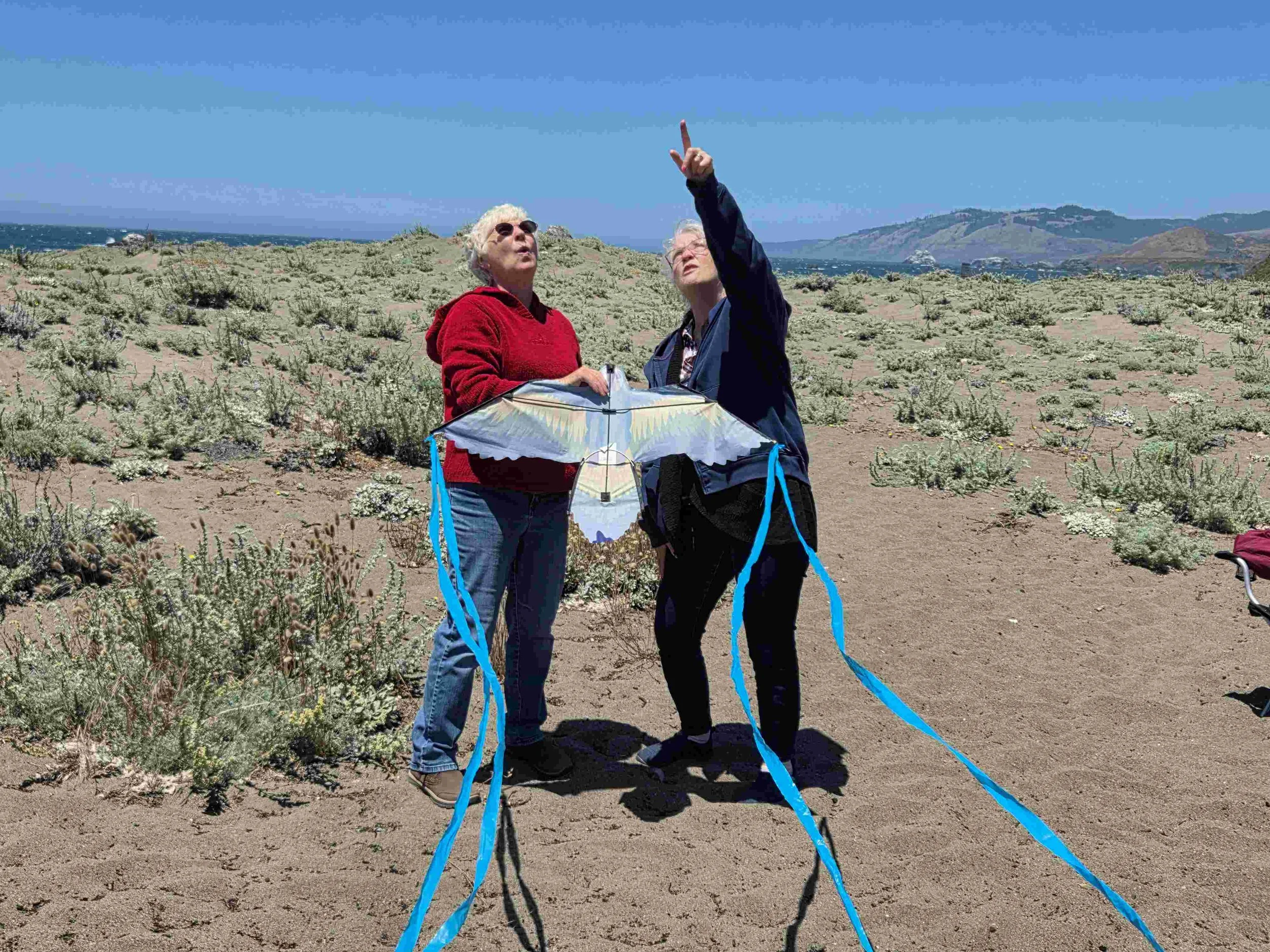 Kite Flying Tour - June 2026