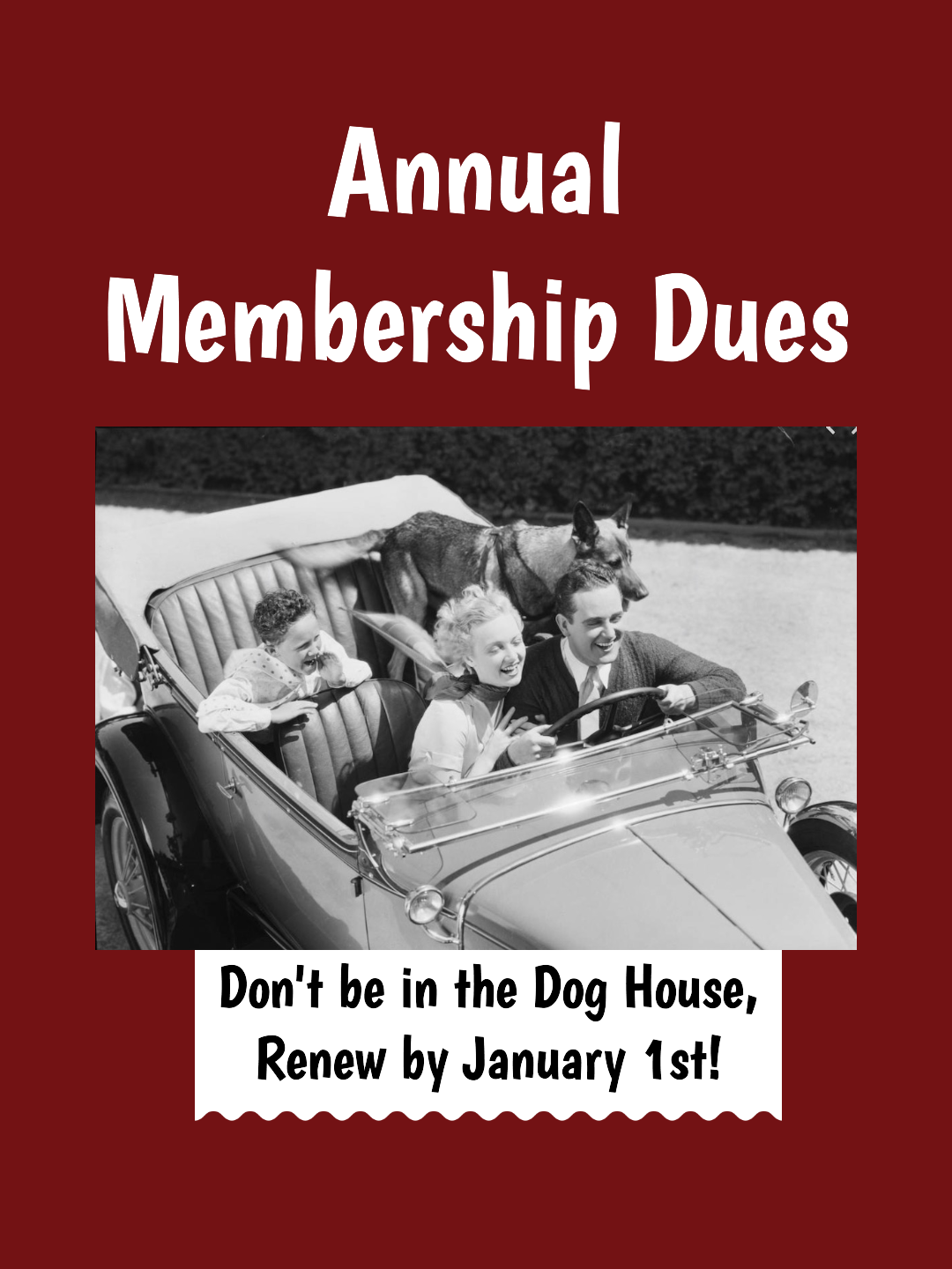 Annual Dues (2).png