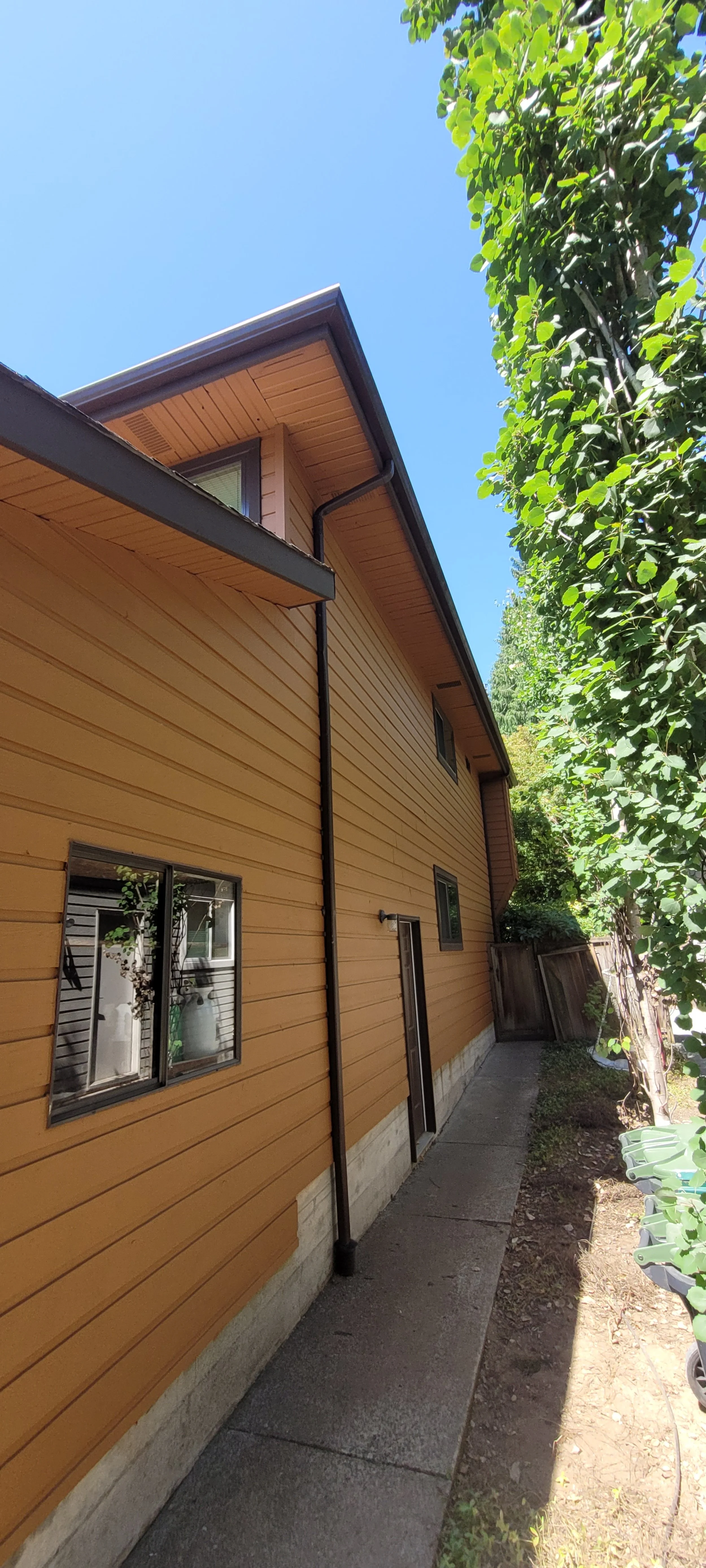 Side view of a two-story house with orange siding, small windows, a concrete walkway, a tree with green foliage, and a blue sky in the background.