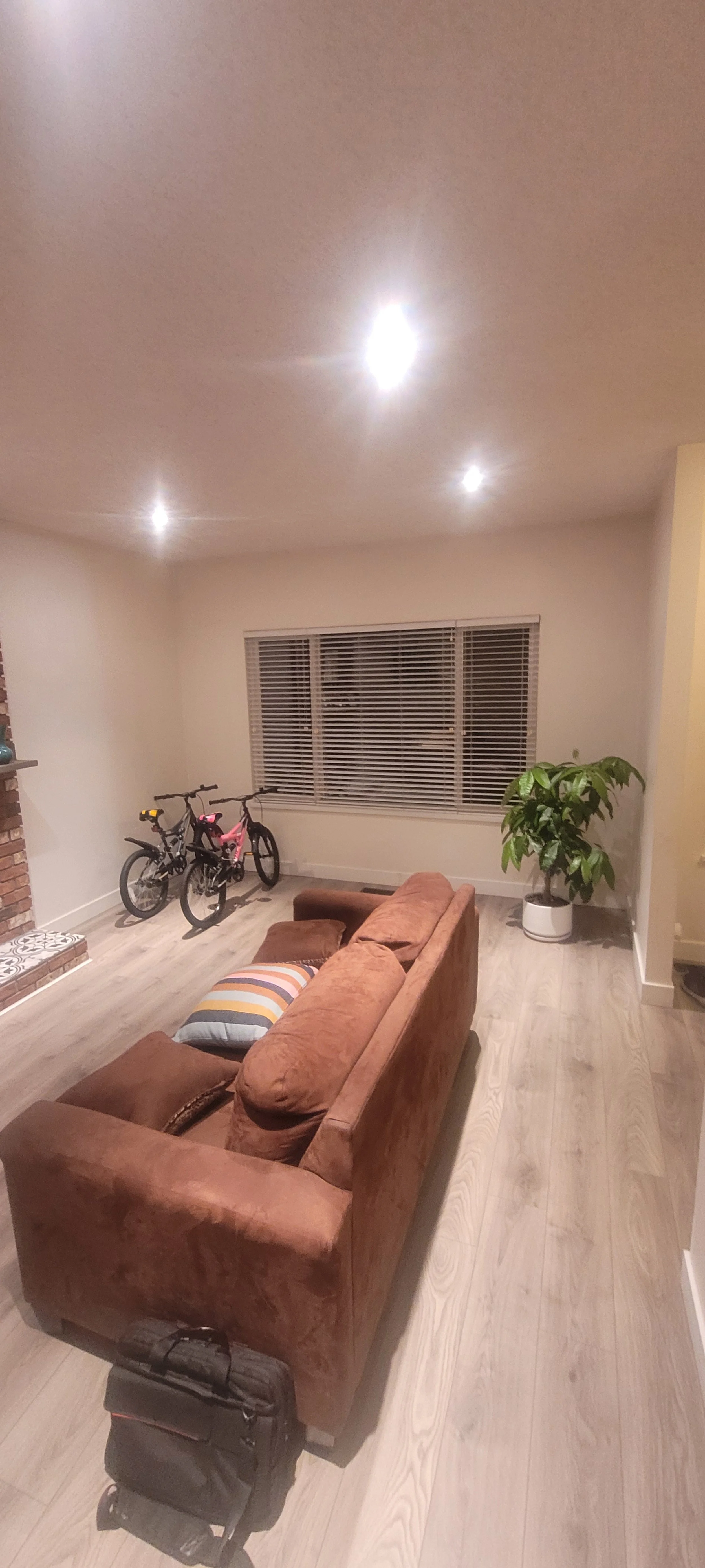 Living room with brown sofa, striped pillow, potted plant, two bicycles near the window, hardwood floor, and ceiling lights.