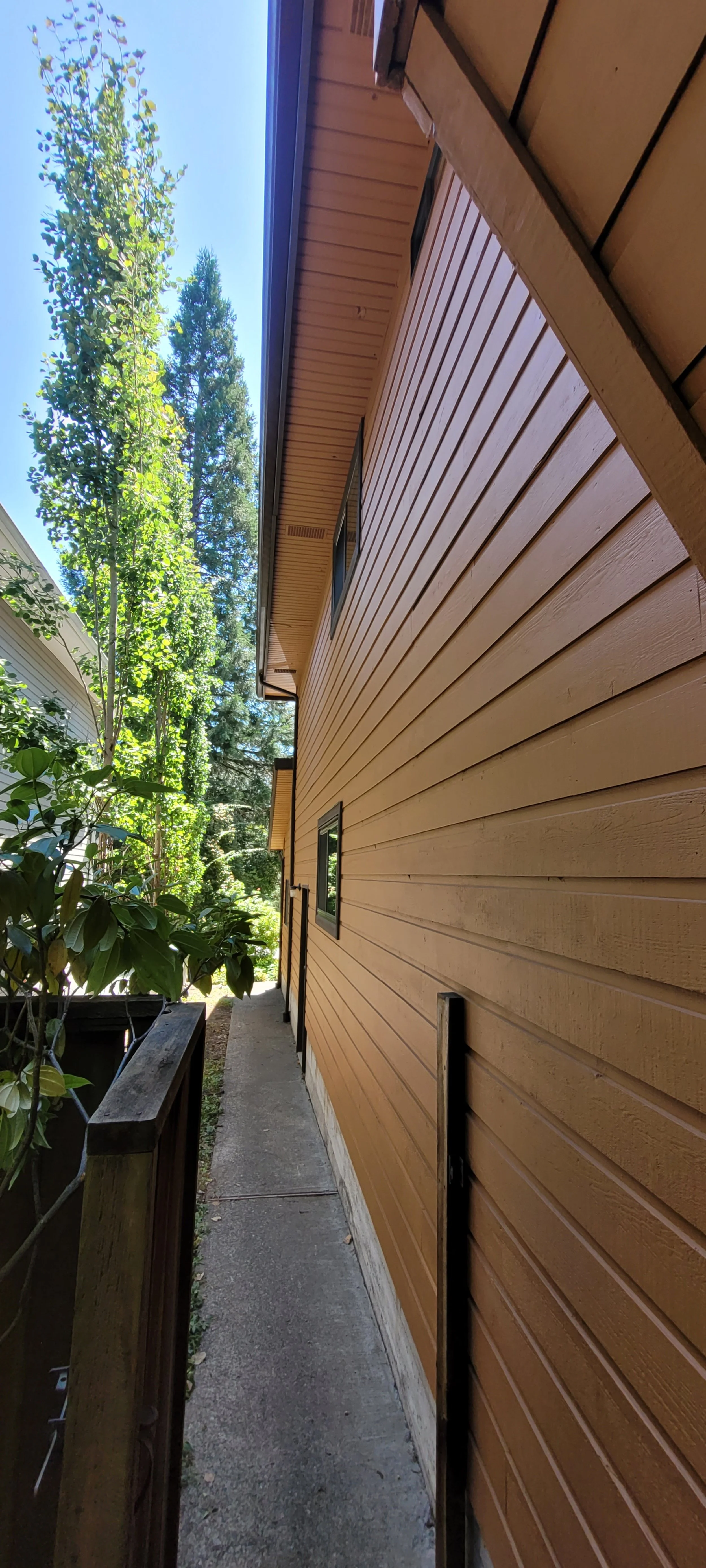 Side view of a house with tan wooden siding, small windows, and a narrow concrete walkway alongside, surrounded by green trees and plants under a blue sky.