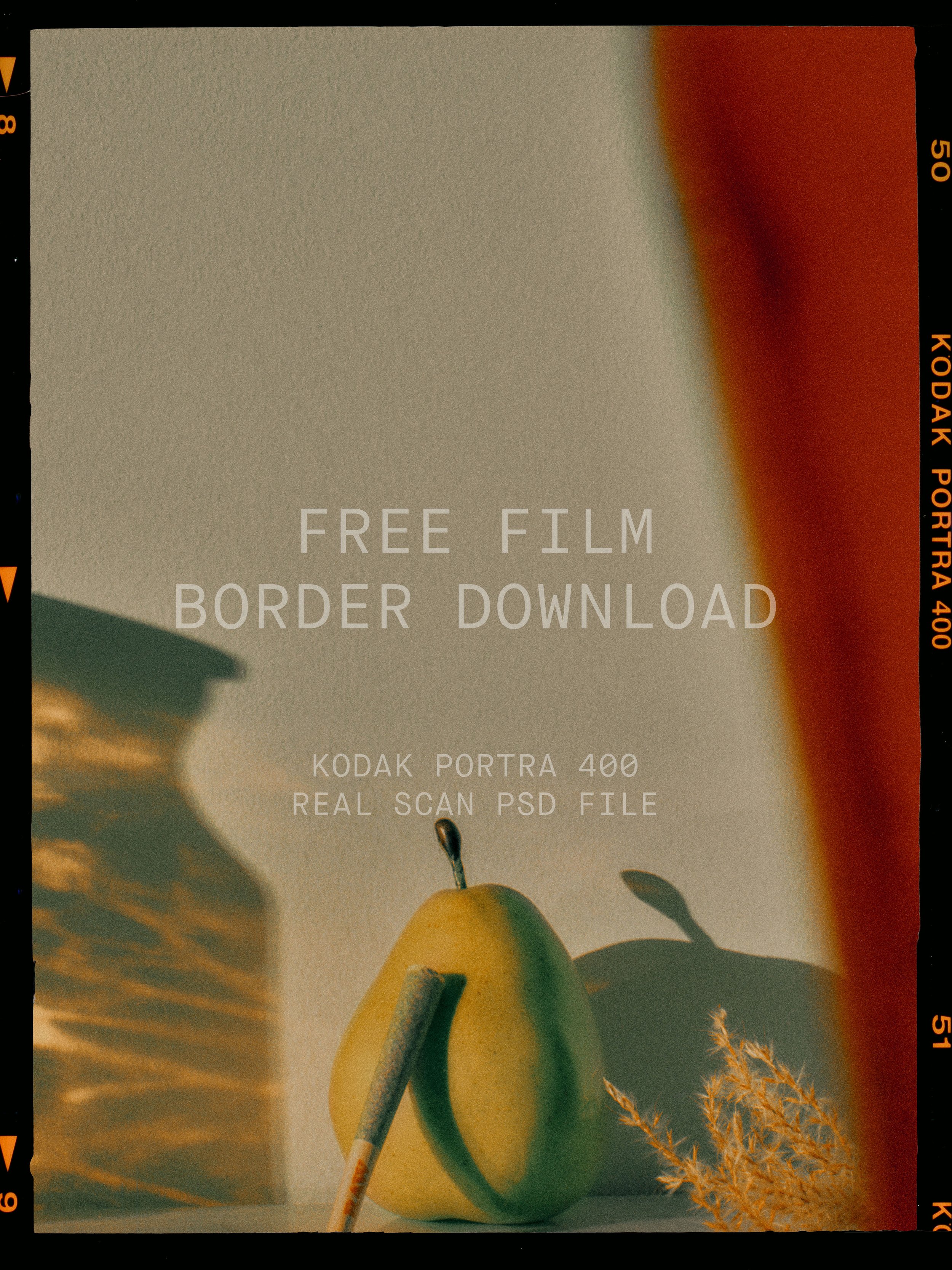 Film-Border-Vertical-FINAL.jpg