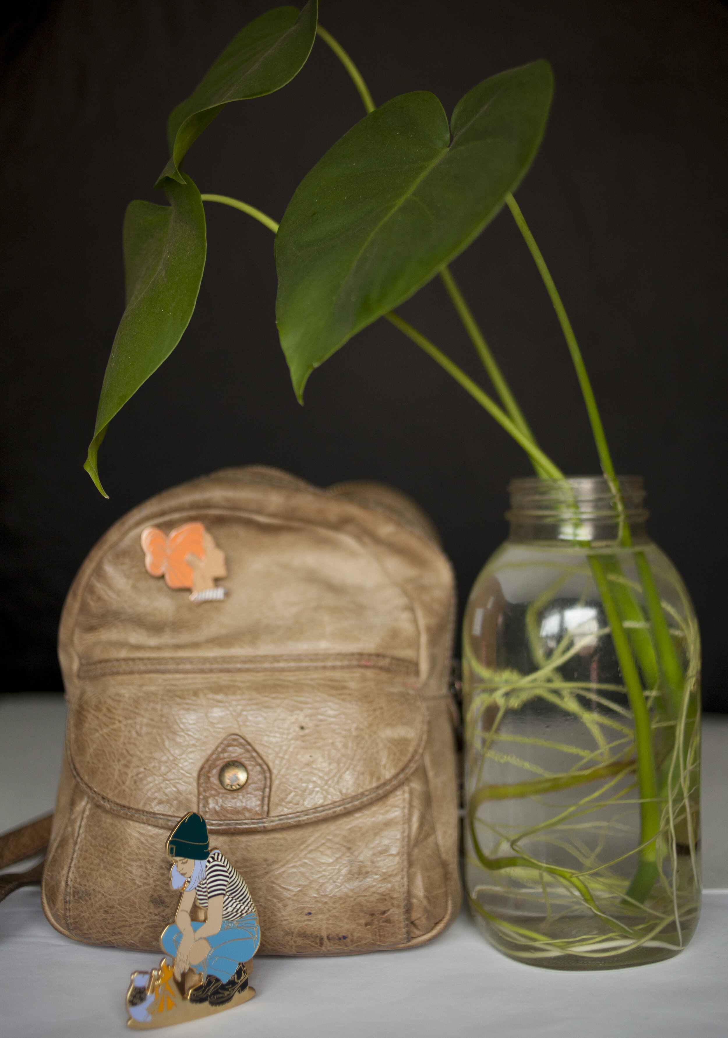 2 for 1 enamel pins ( "Come with me"  and  " Nebraska Jones")