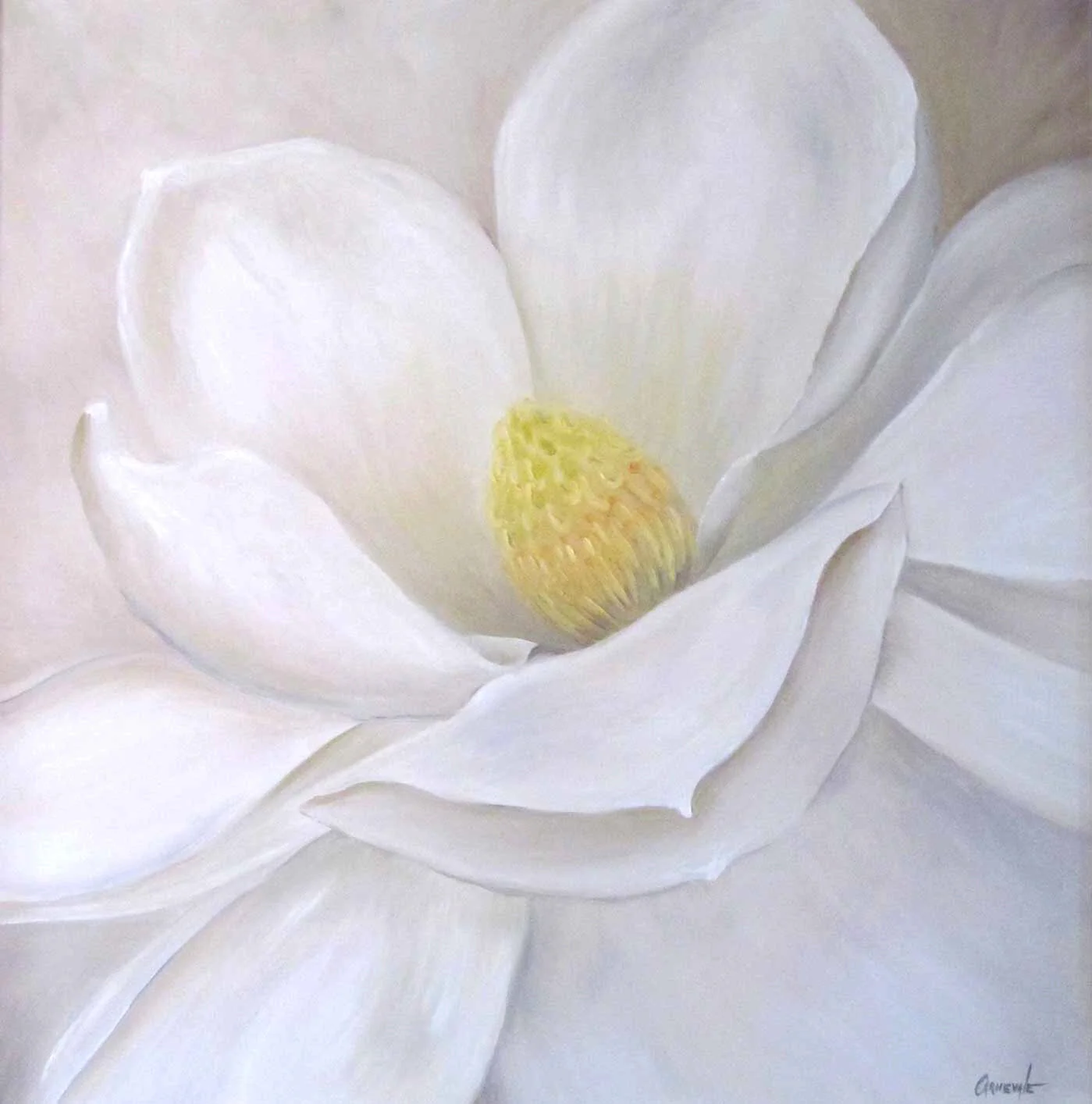 White-Magnolia-SOLD-iPhoto SqSP  Full .jpg