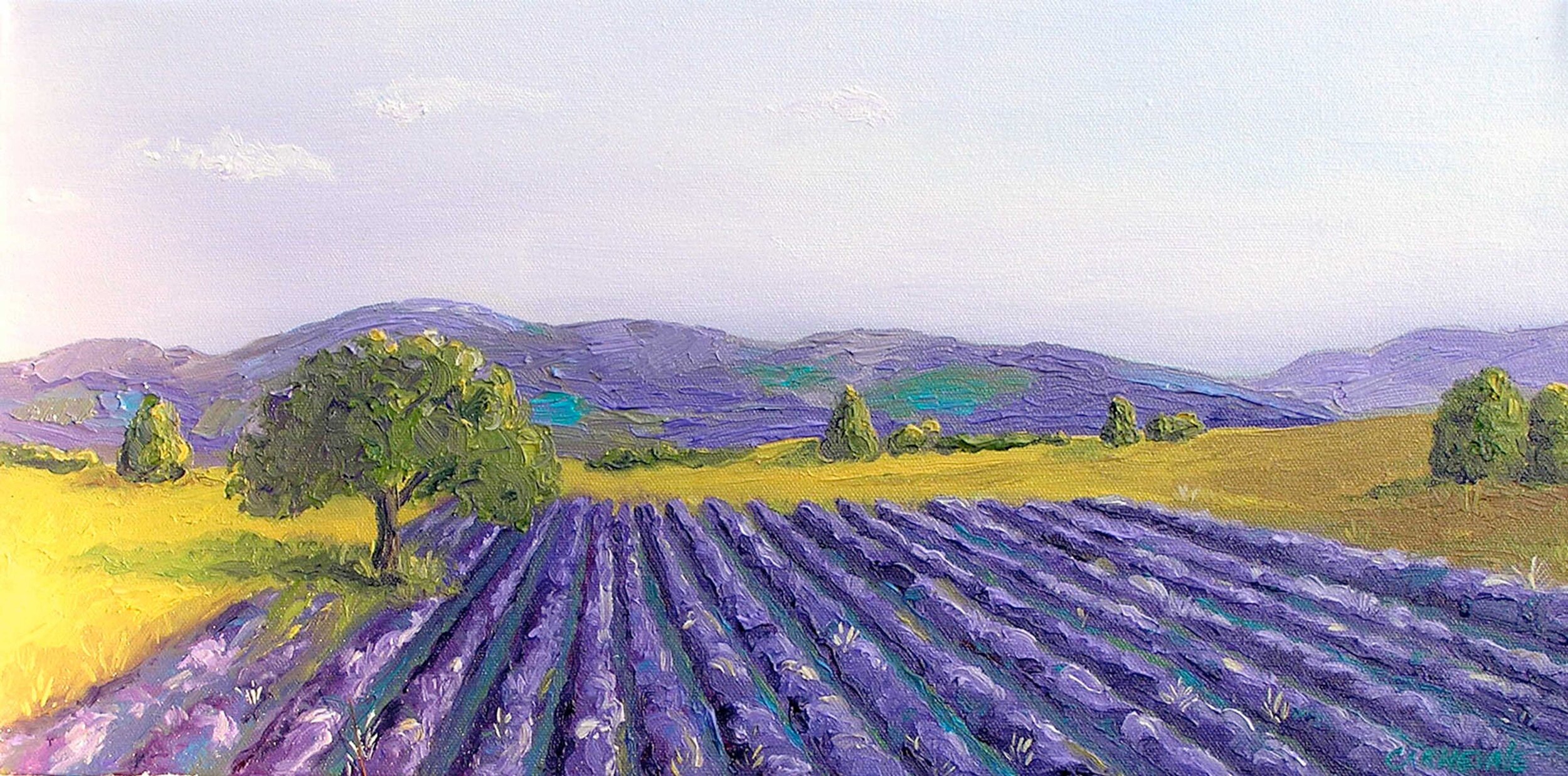 ProvenceLavenderwMountains SqSP  Full .jpg