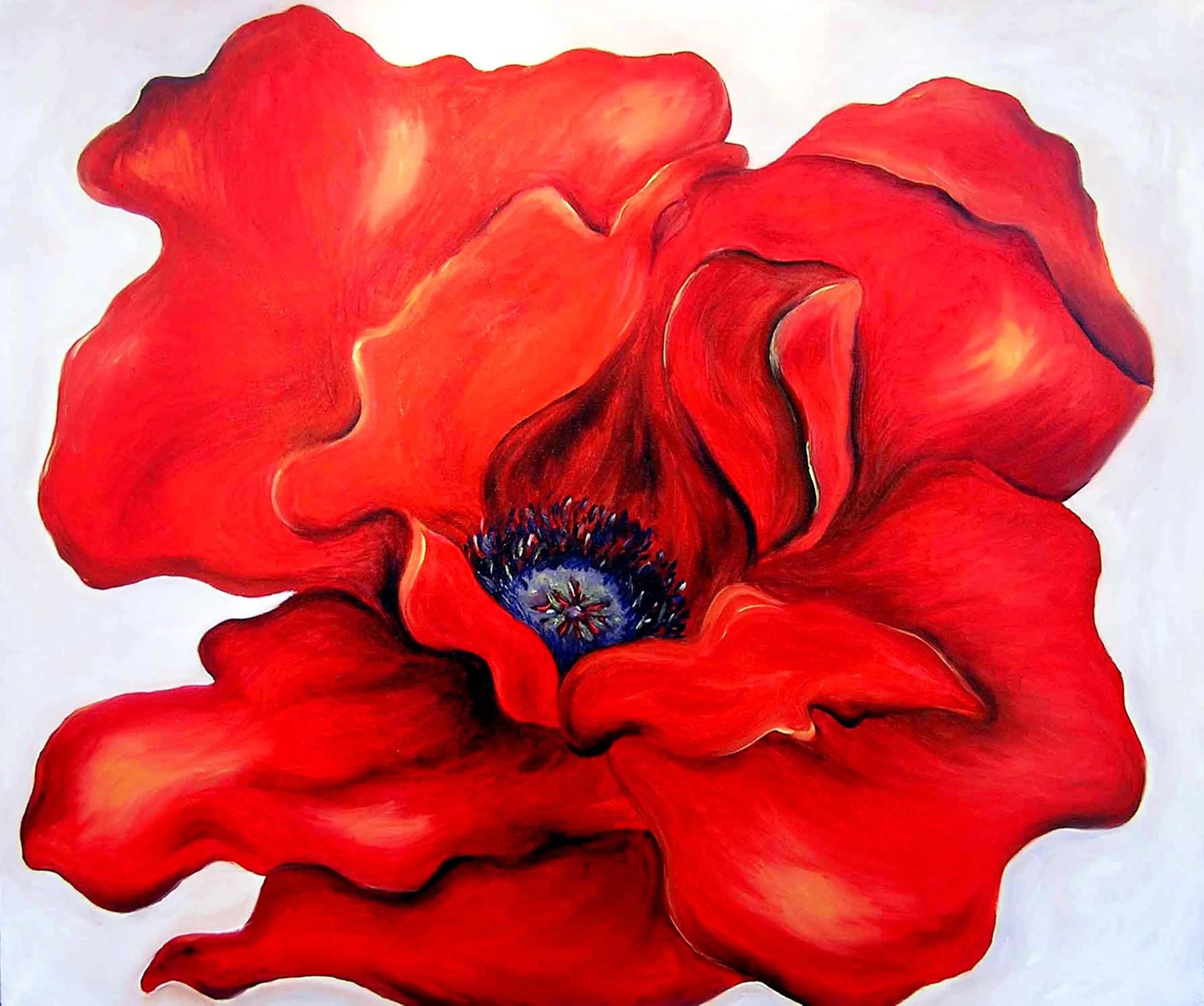 Poppy.JPG