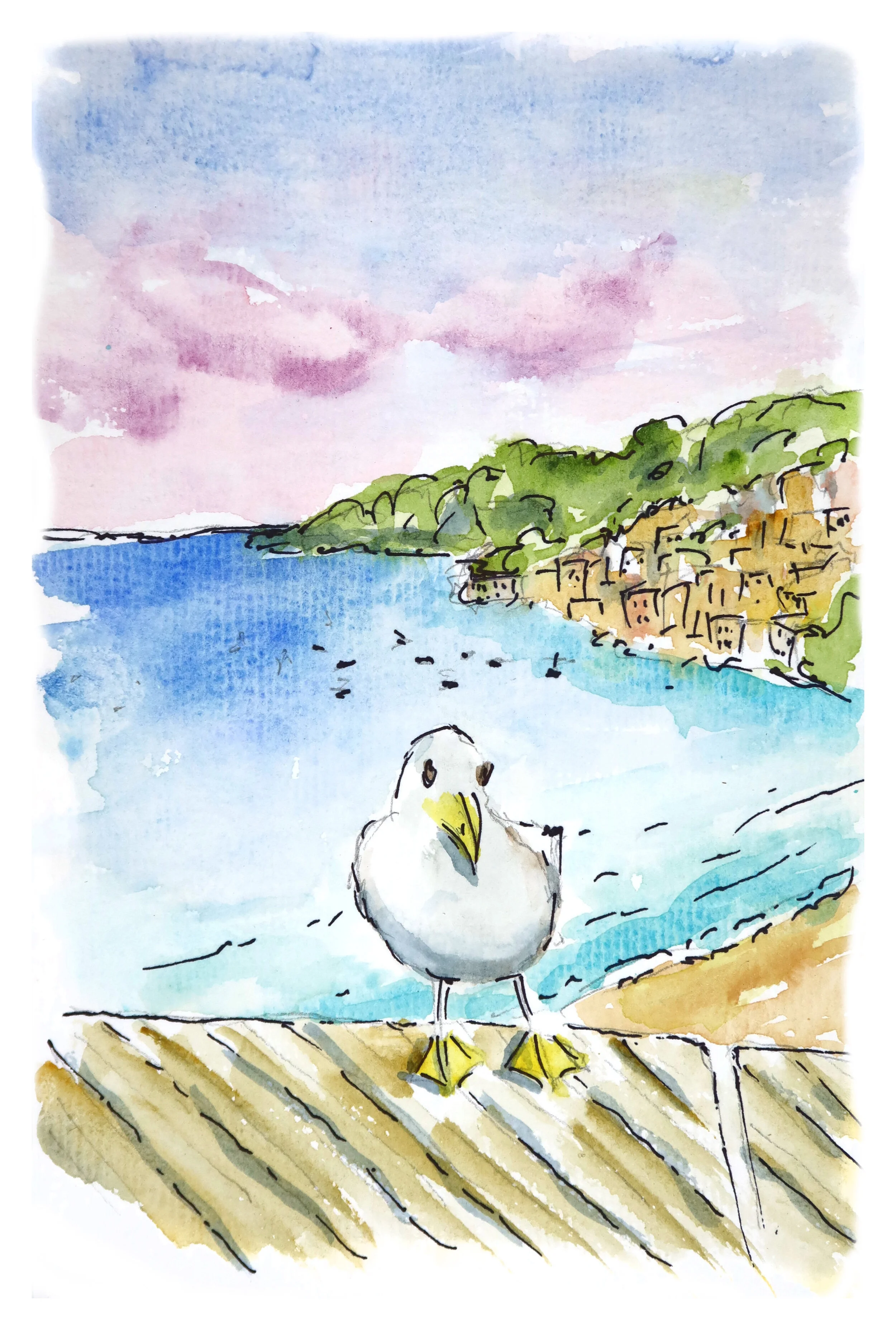 Nice-Birds Eye view.JPG