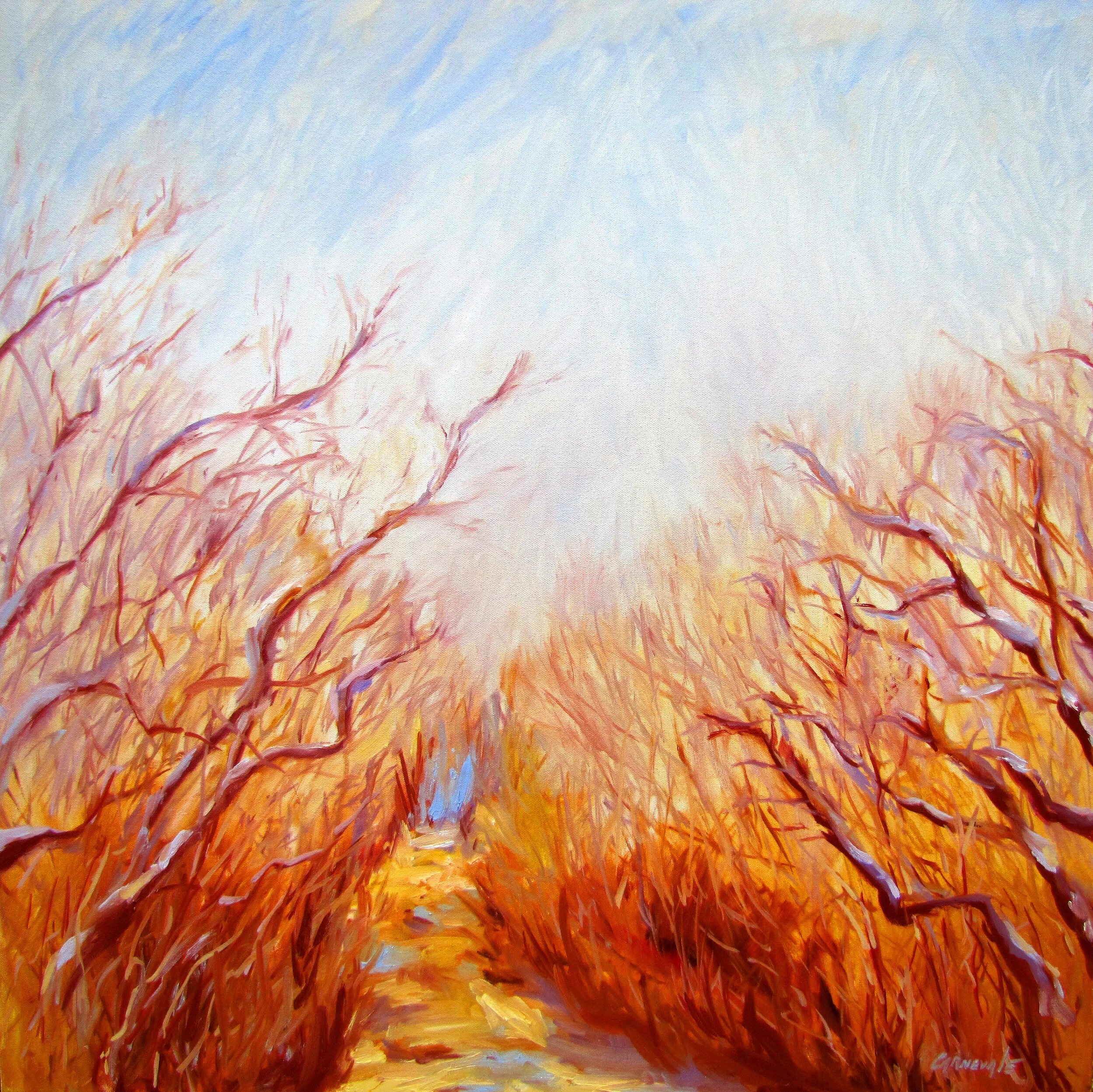 Fiery Path at Halibut Point B SOLD iPhoto.jpeg