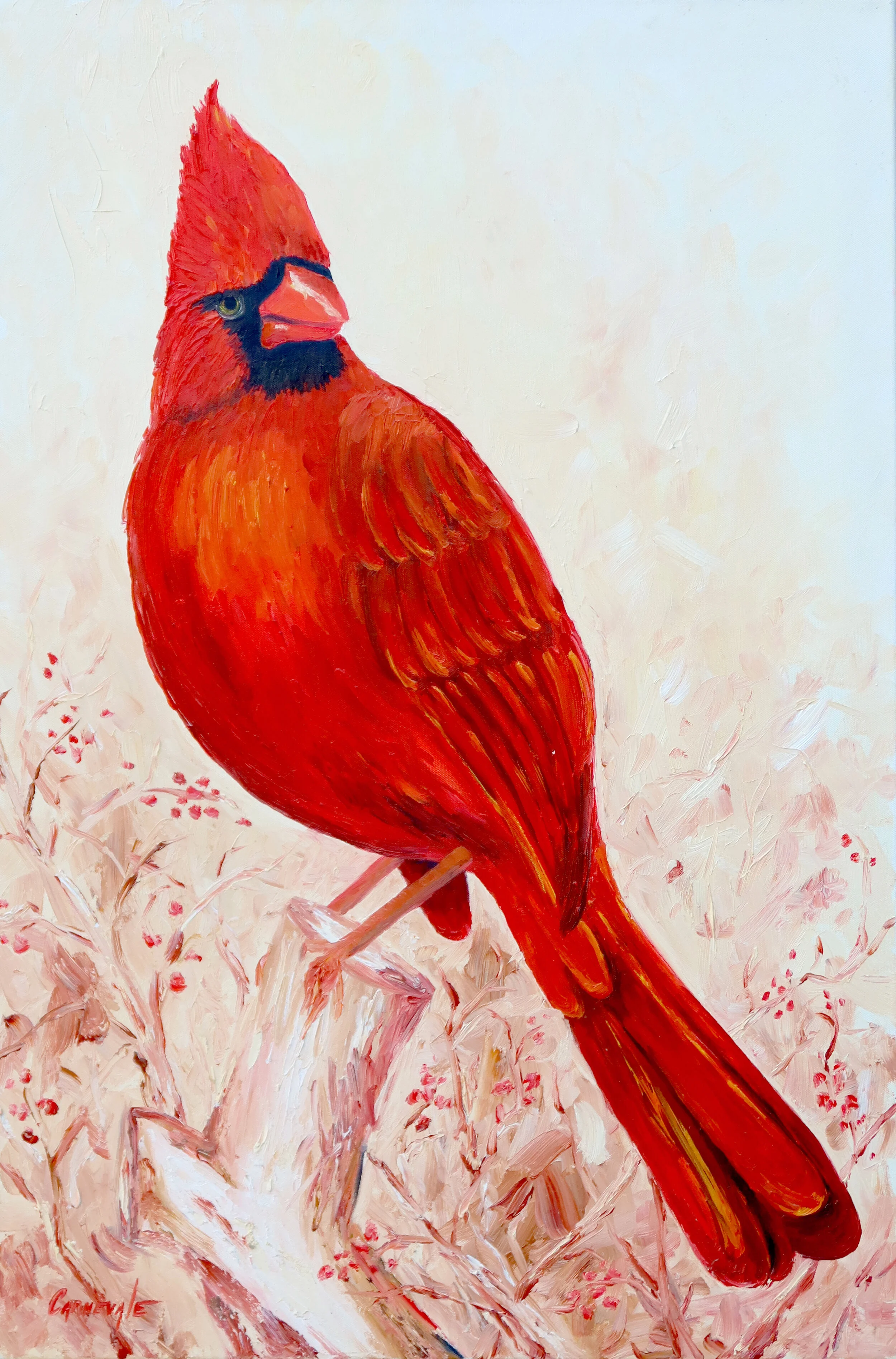 Big red 1.JPG