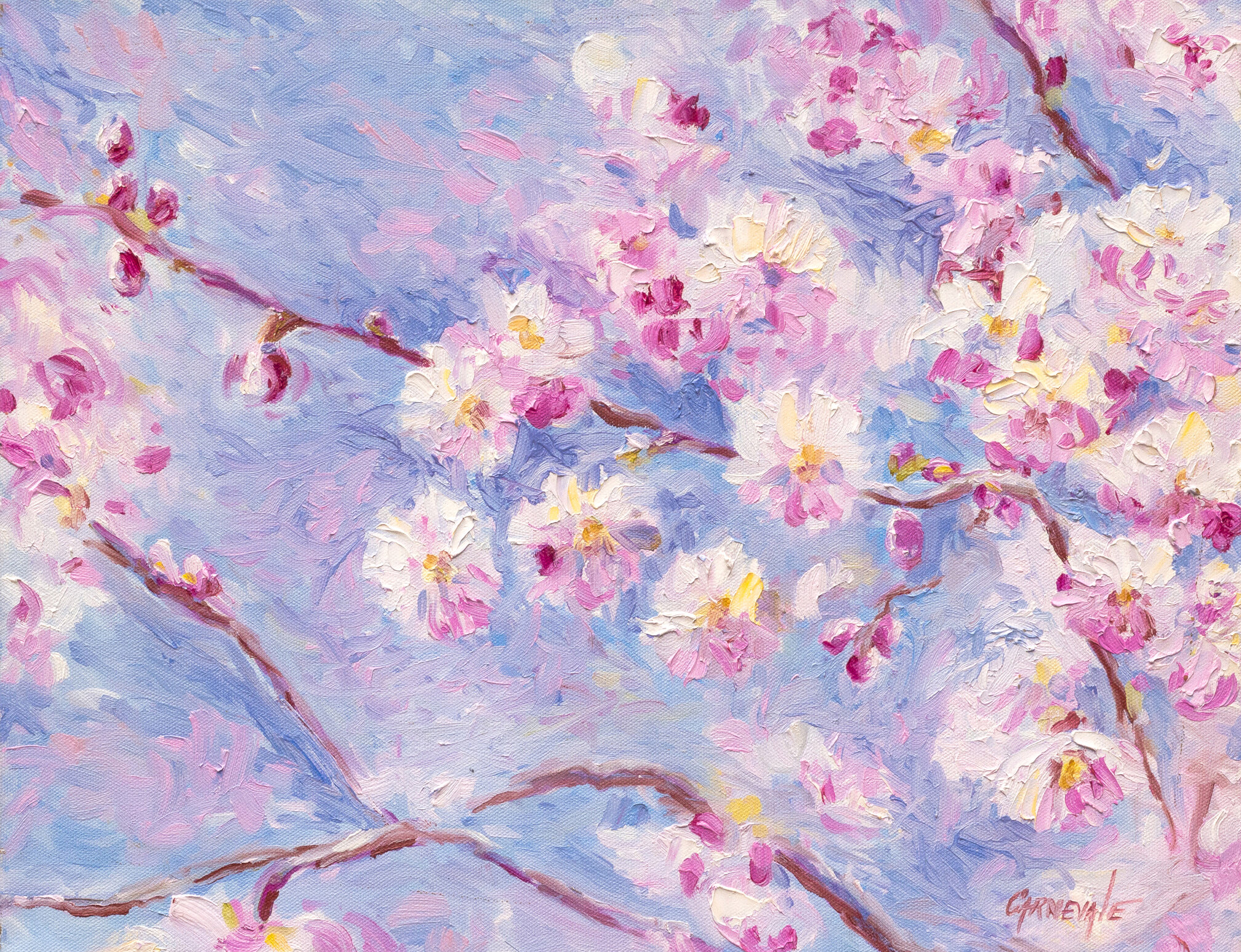 Cherry Tree BLossoms Branches-13.jpg