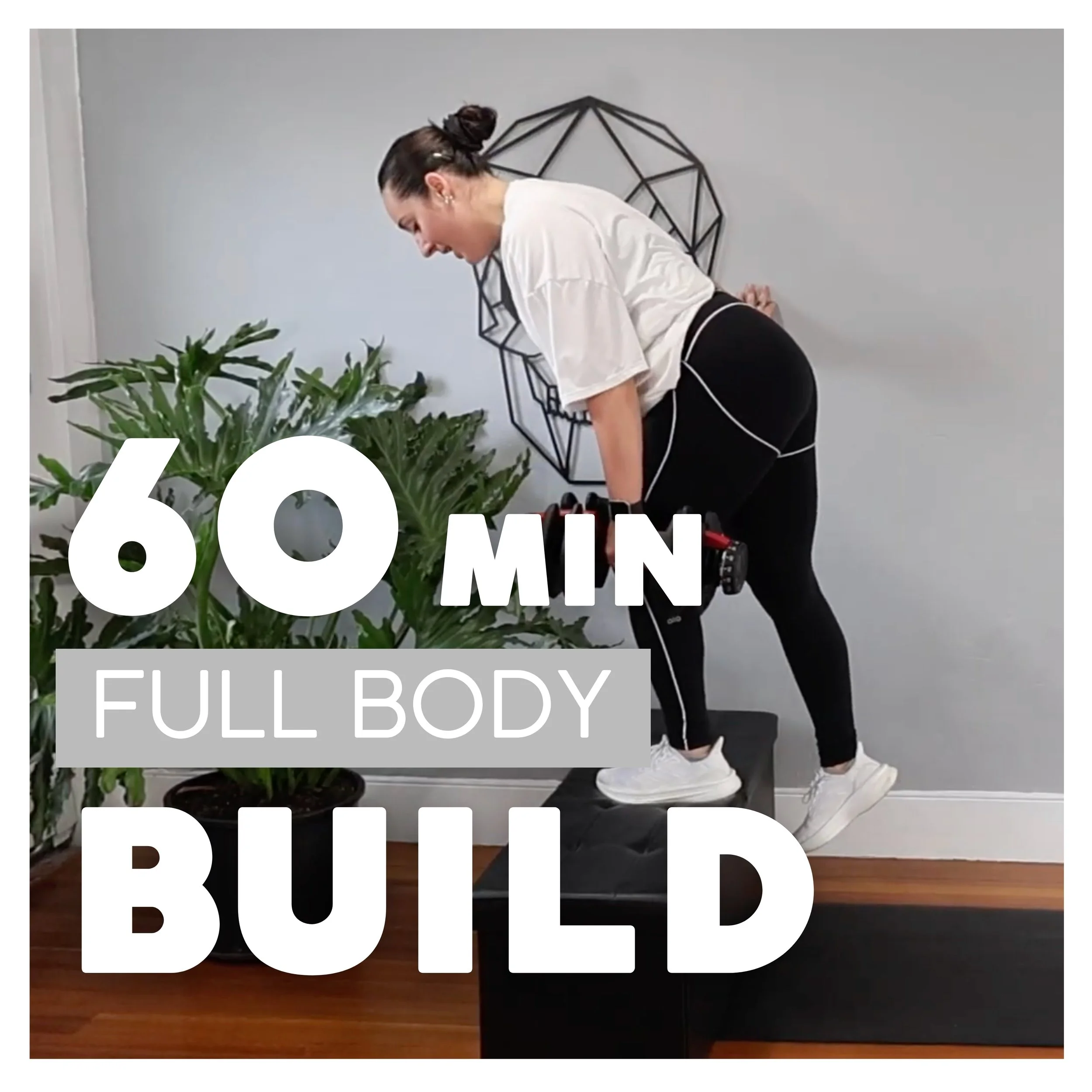 Full Body Build
