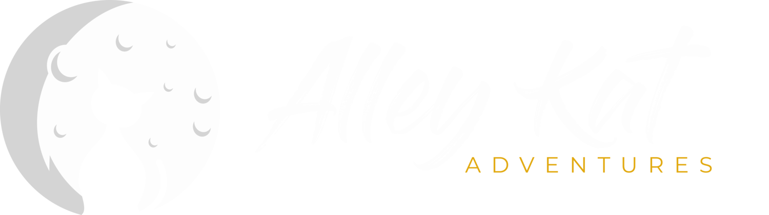 Alley Kat Adventures