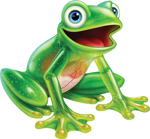 Cartoon illustration of a green frog