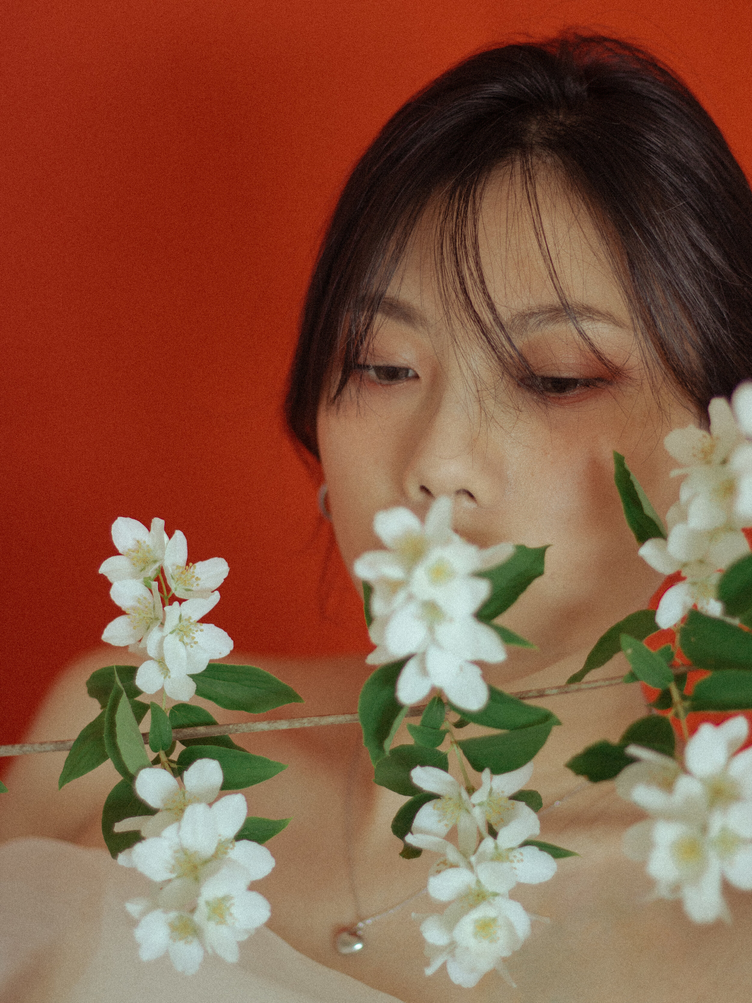 La rose n_est pas rouge-2.jpg