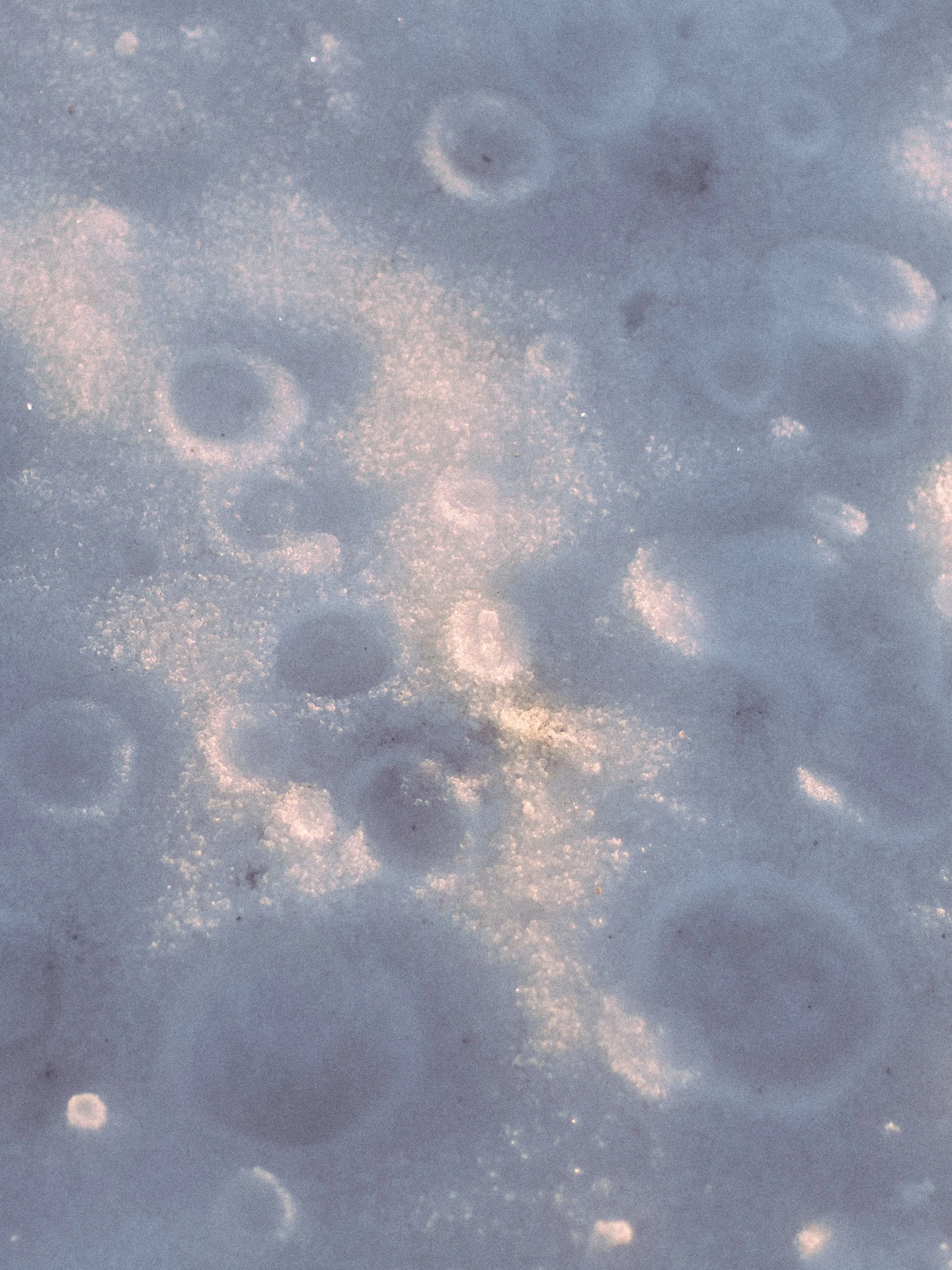 Beautiful things don't ask for attention