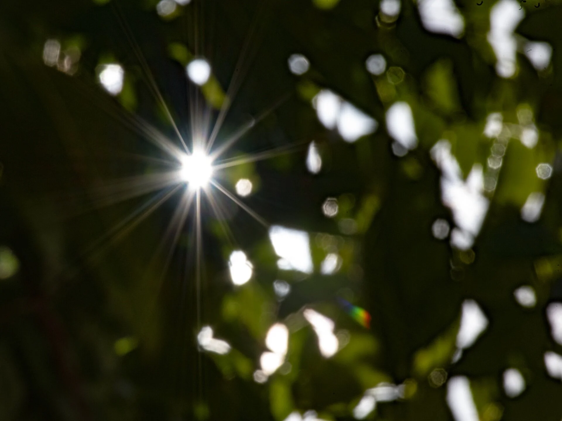 03_Being Unique_Image.jpg