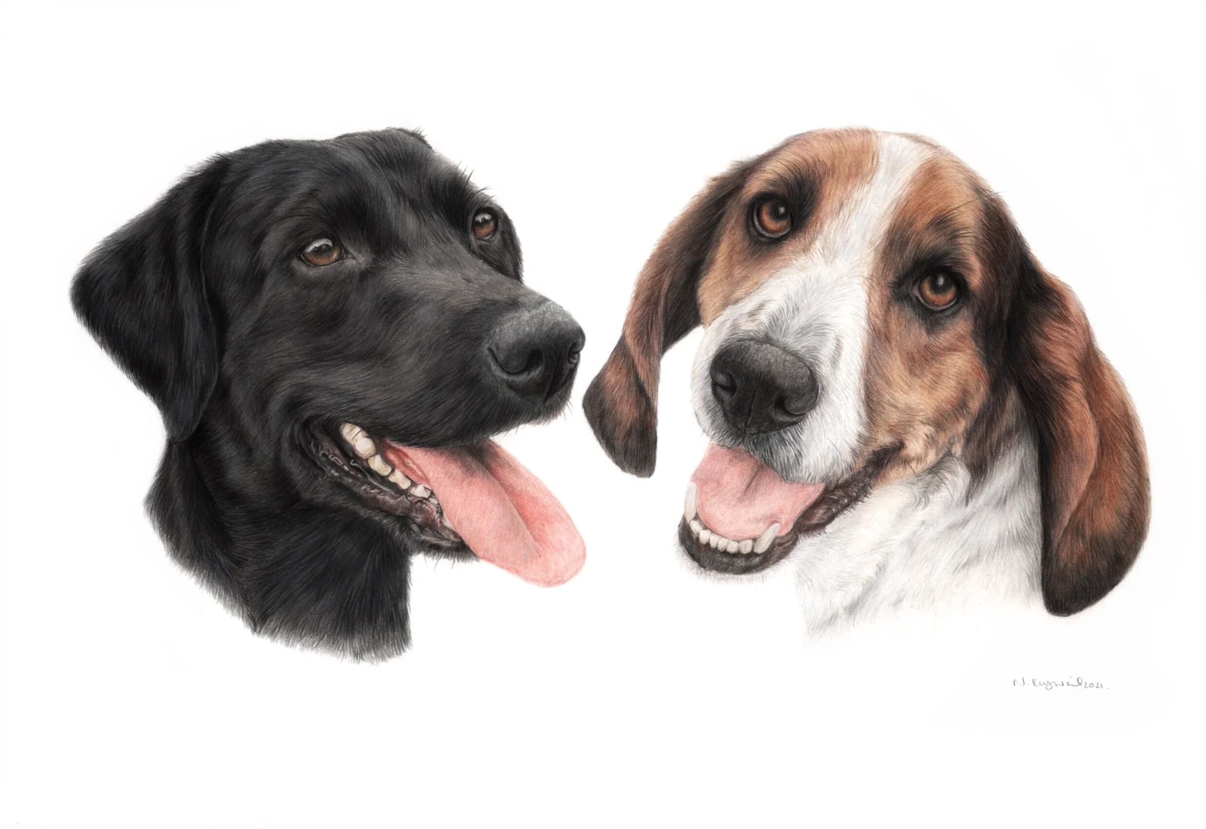 Willow and Boris.JPG