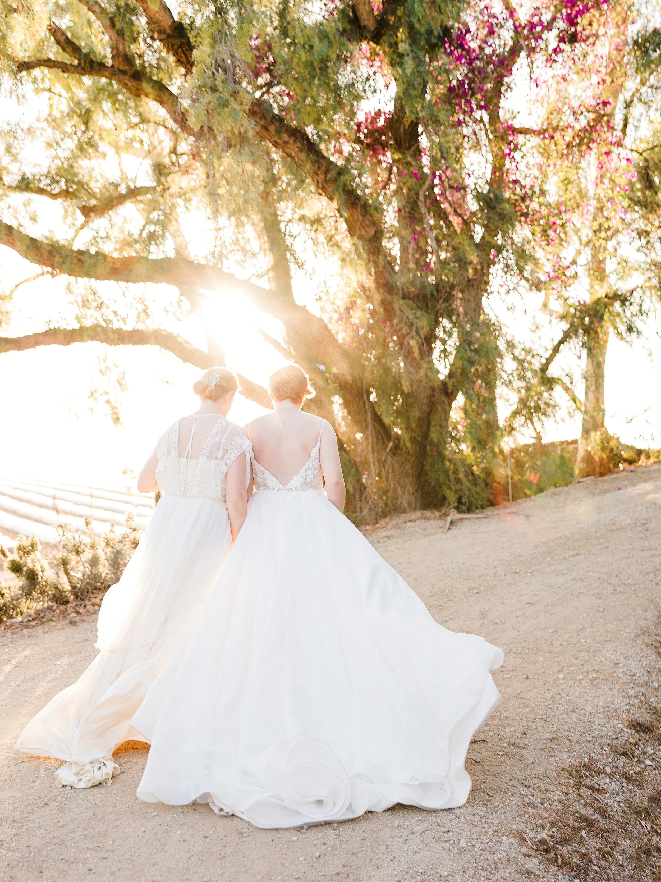 Todd Danforth Photography Los Angeles and Destination LGBT Wedding Photographer