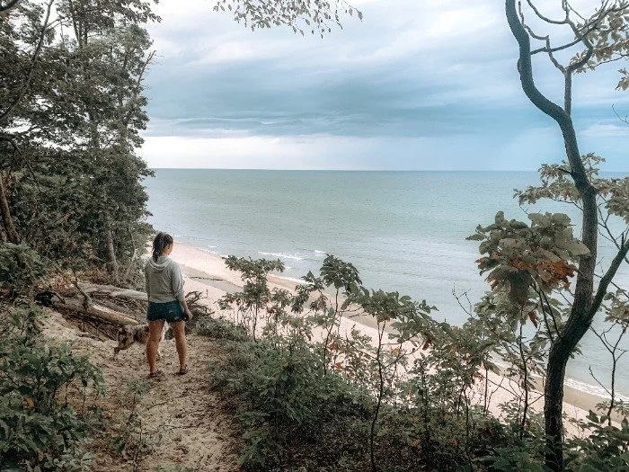   Dunes Overlook at Hoffmaster State Park Trails  