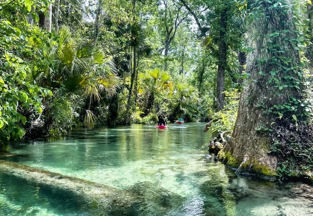 10 Prettiest Natural Springs in Florida to Swim and Kayak — Nomads in