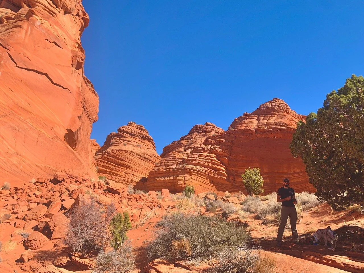 View inside the Southern Alcove - Coyote Buttes South