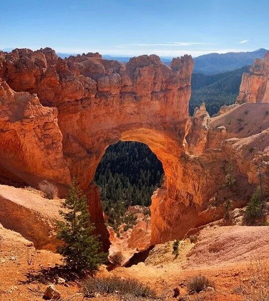 (image courtesy of thevanescape.com )