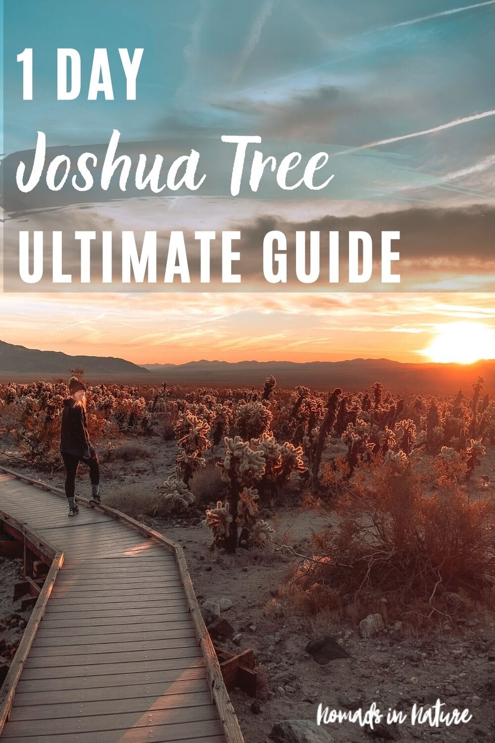 JoshuaTree_PinSingle.jpg