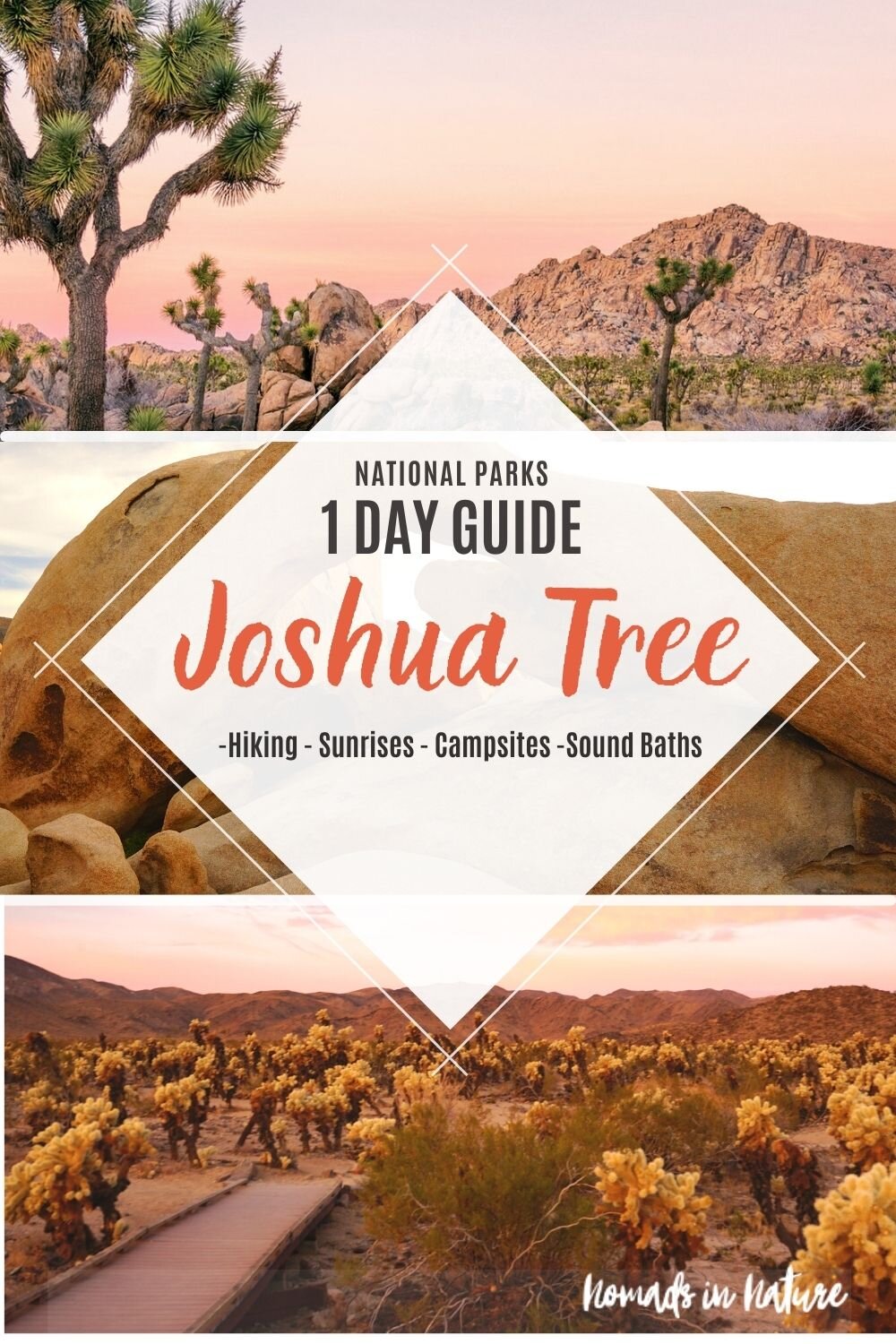 JoshuaTree1day_PinTHREE.jpg