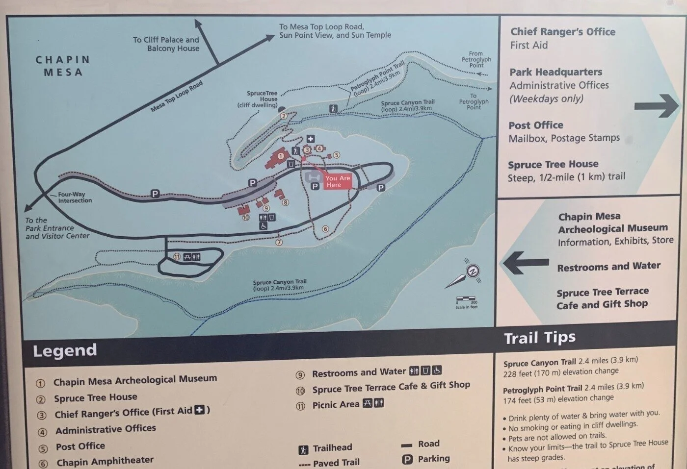 Trail Map of Spruce Tree House, Petroglyph Trail, Museum, and Spruce Terrace Gift Shop.