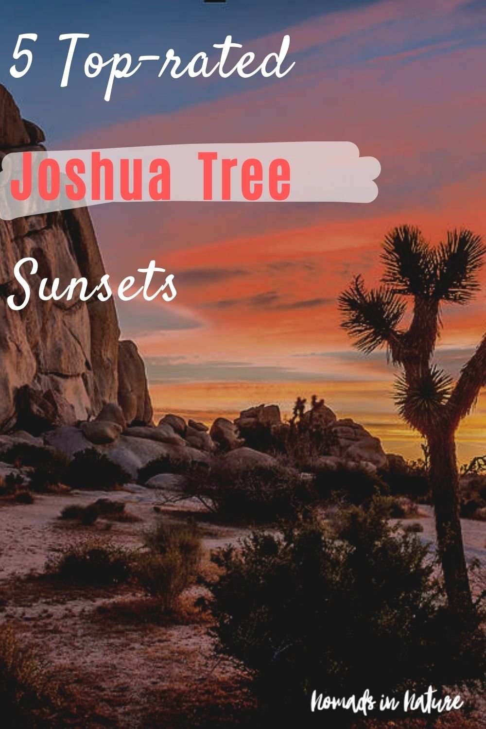 Joshua Tree Sunset.jpg