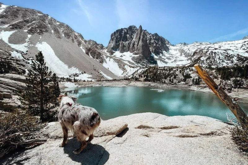 View at Second Lake, Big Pine Lakes Trail