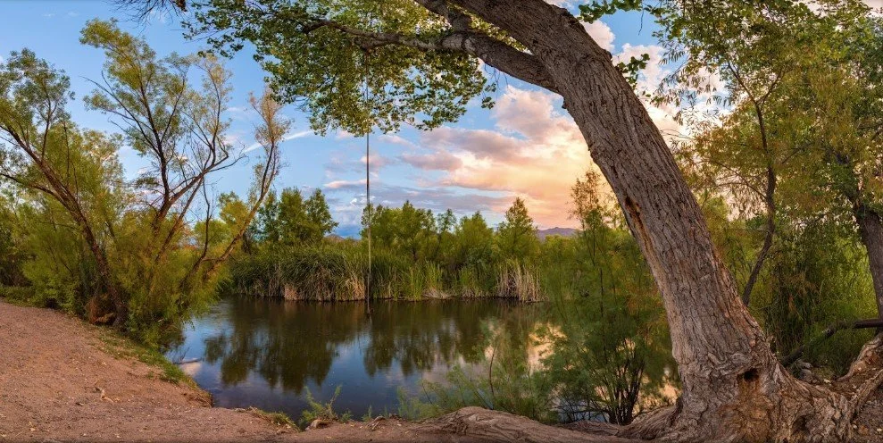 Location: Scottsdale, AZ