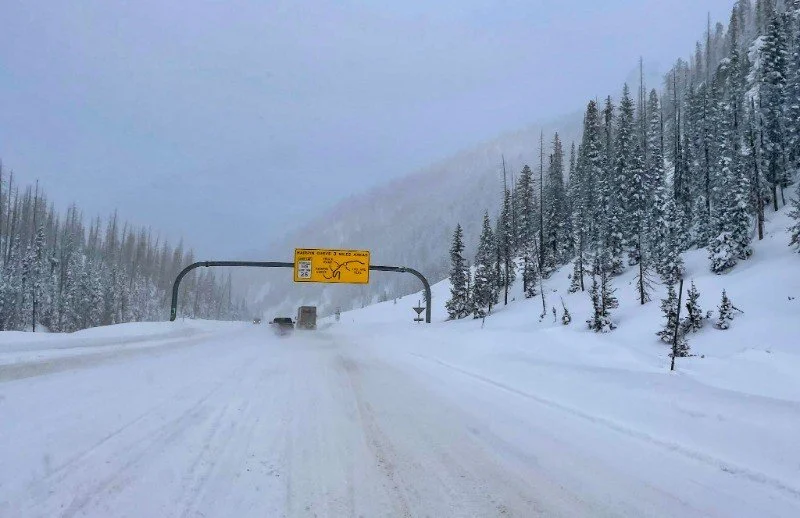 Wolf Creek Skiing Guide (2024 Season) — Nomads in Nature